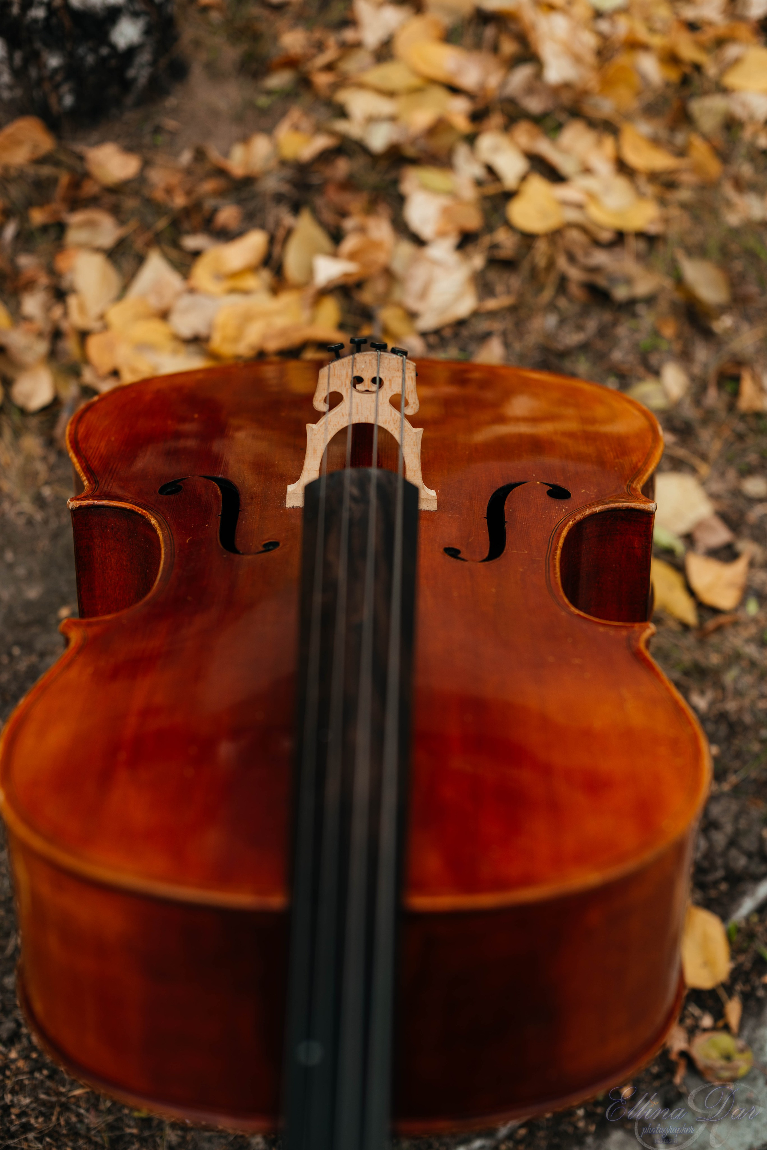 Аюмишка. Фотограф Эллина Дар г. Улан-Удэ