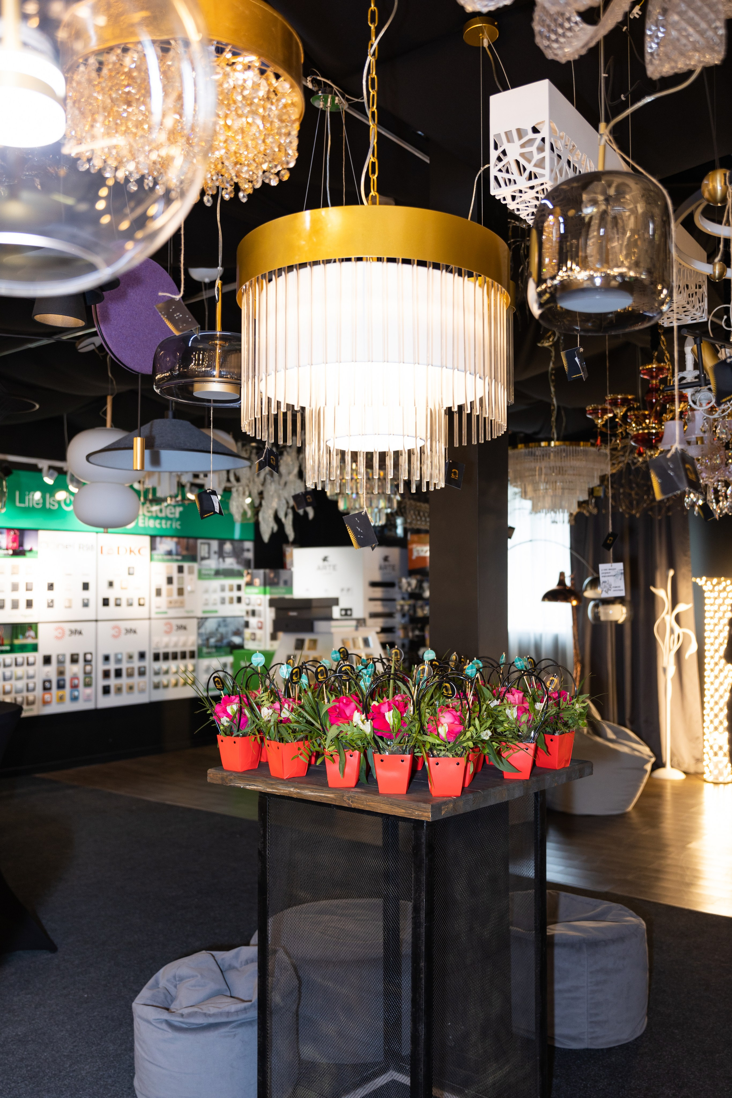 Презентация в салоне света Абажюр. Выпускные альбомы во Владивостоке