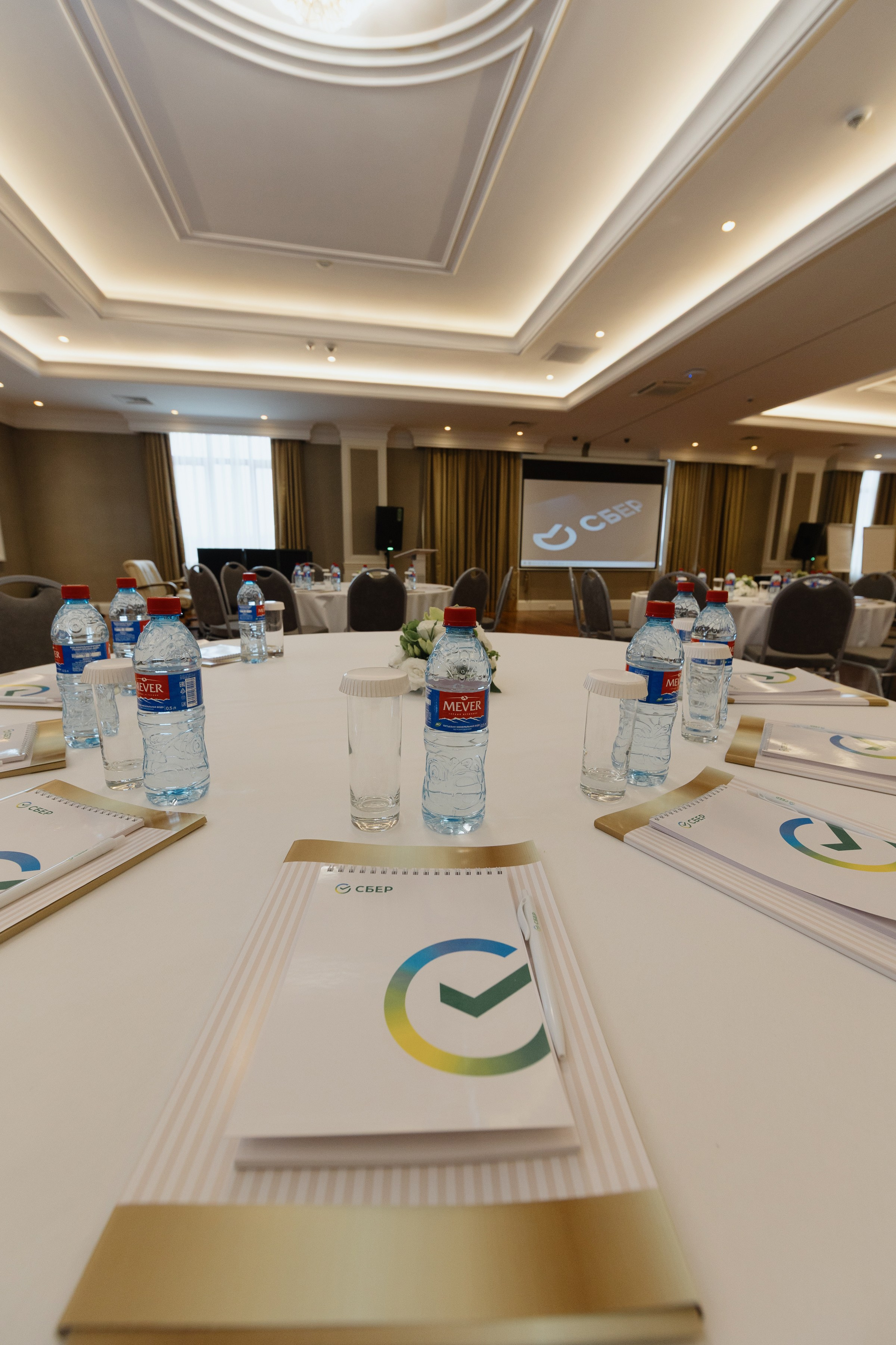 Для Сбера. RetroChic Фото