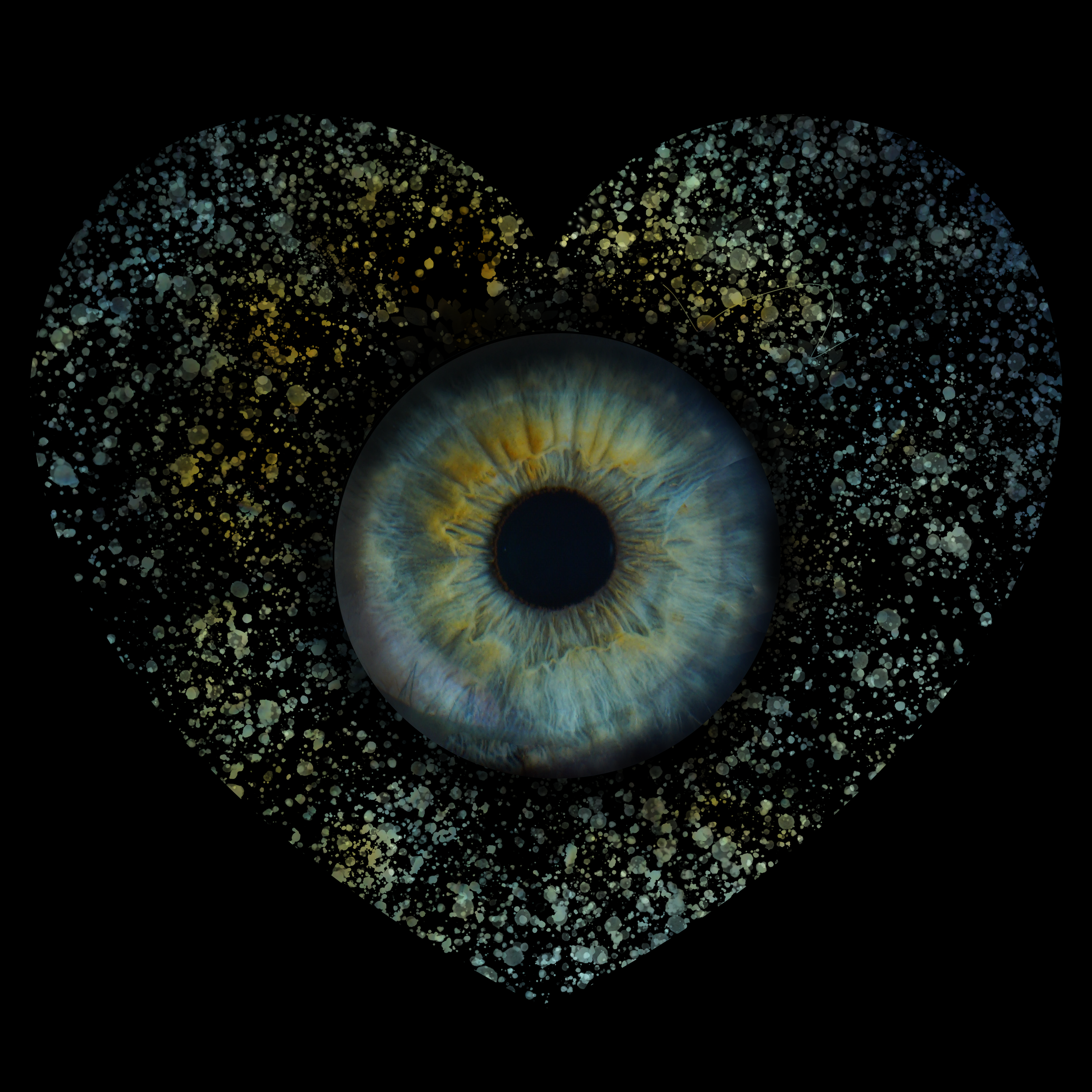 Анжела 11021930. ShowLab