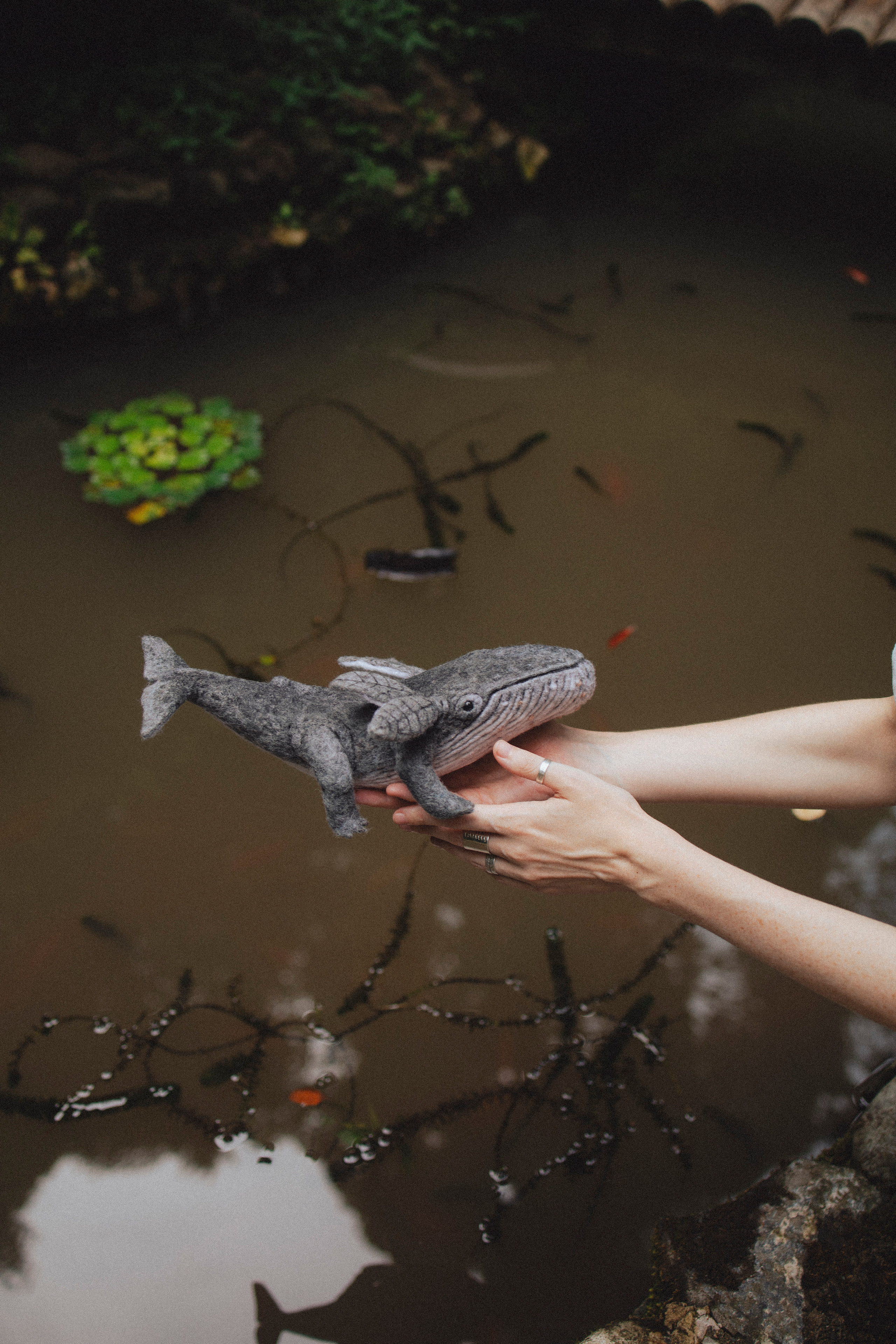 🤍. Главная