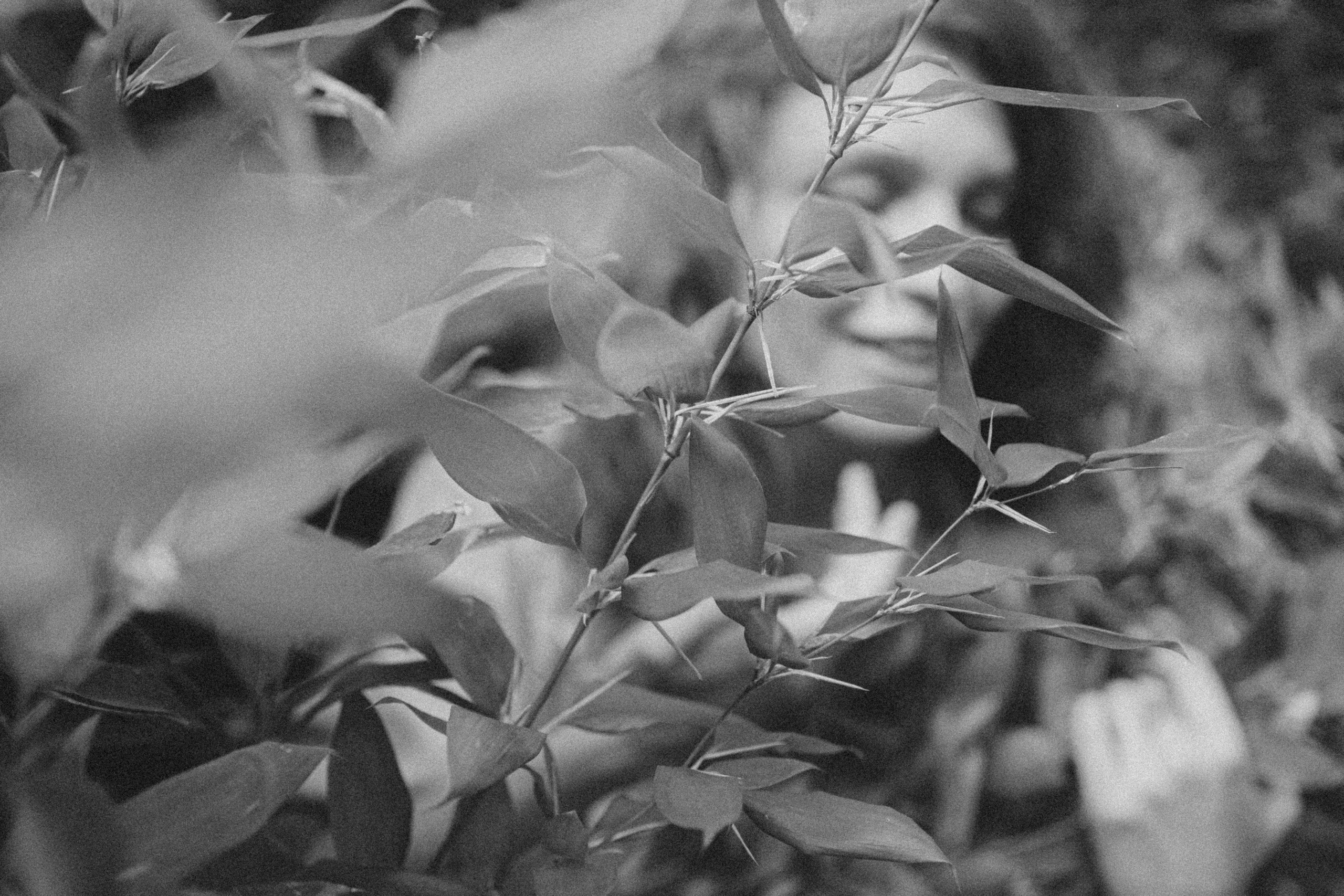 🤍. Главная