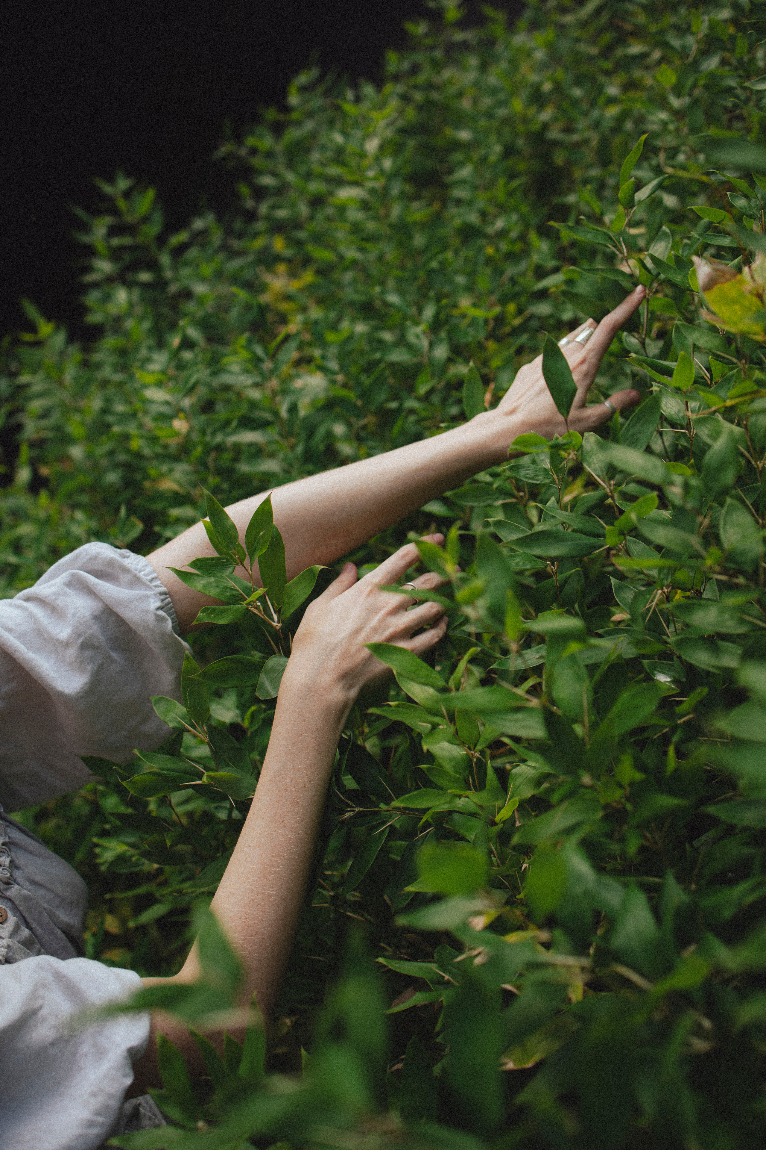 🤍. Главная