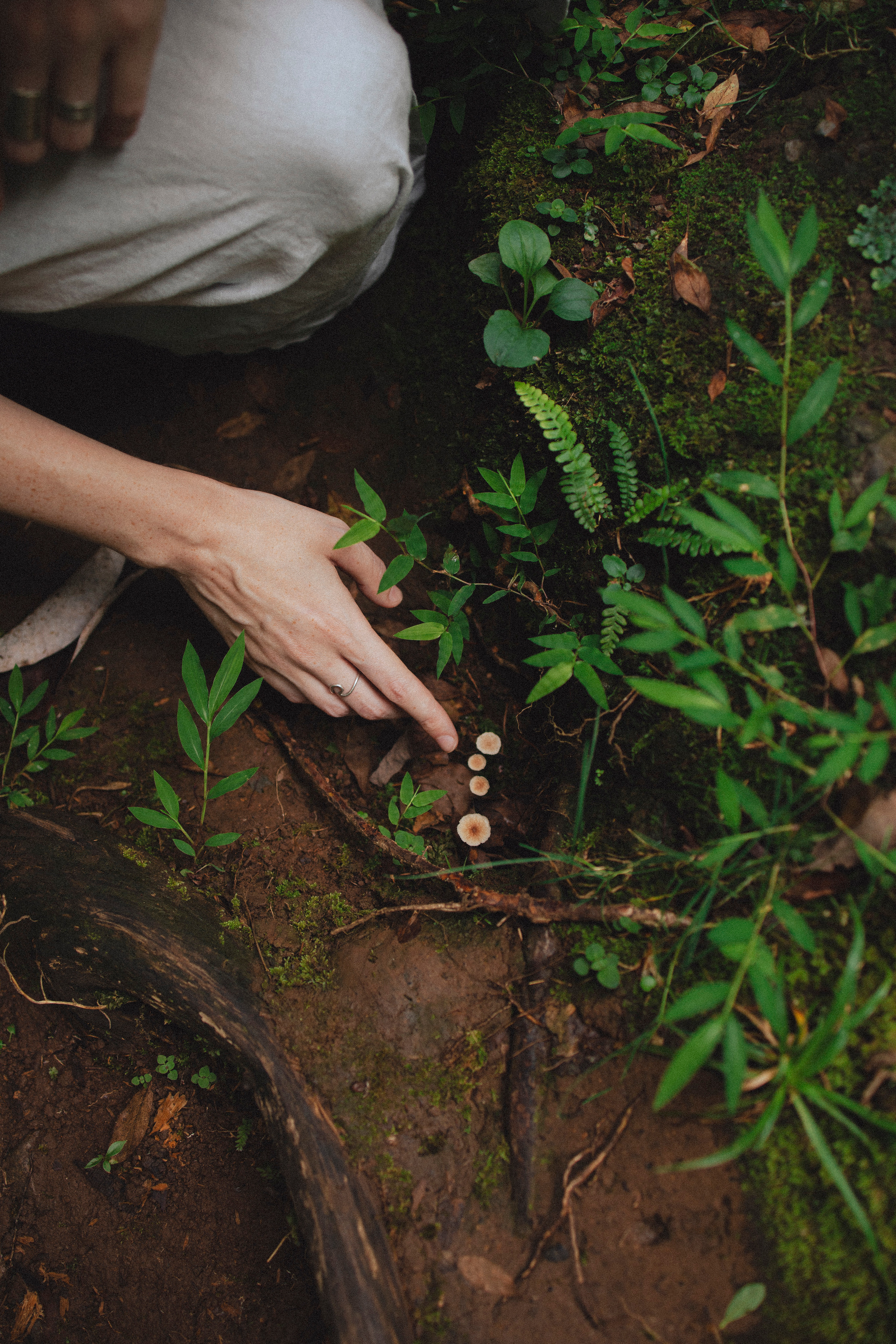 🤍. Главная