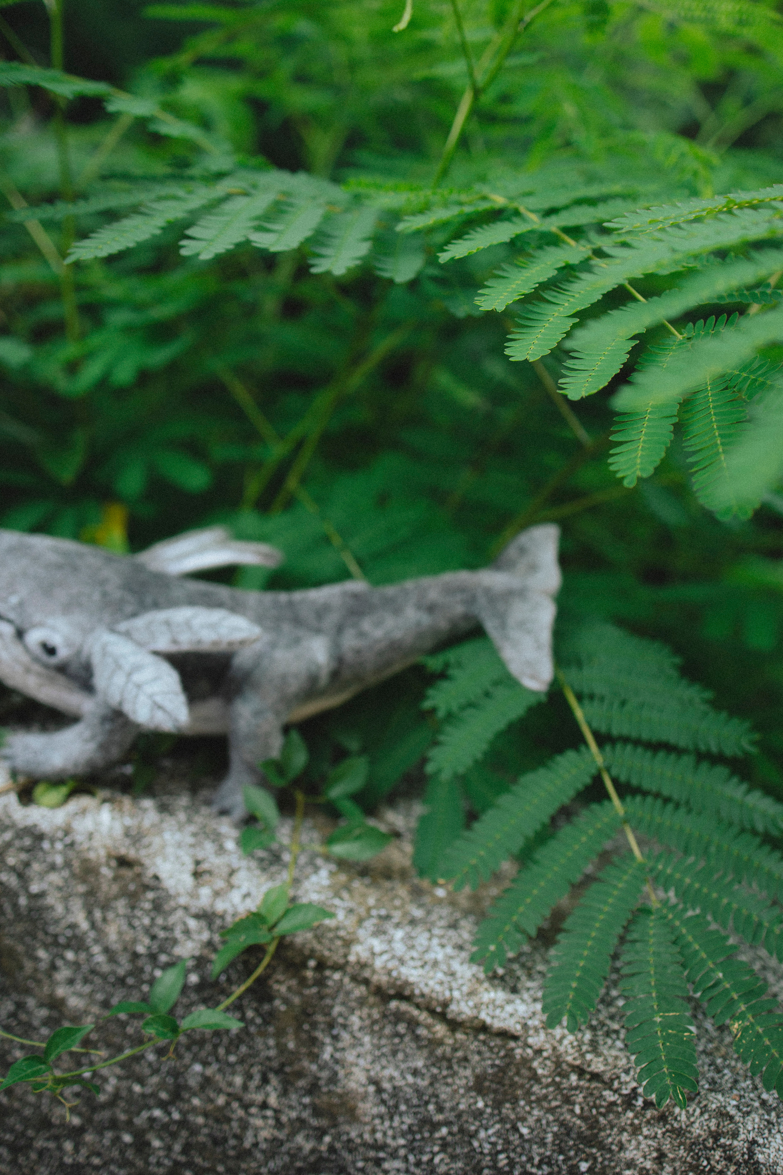 🤍. Главная