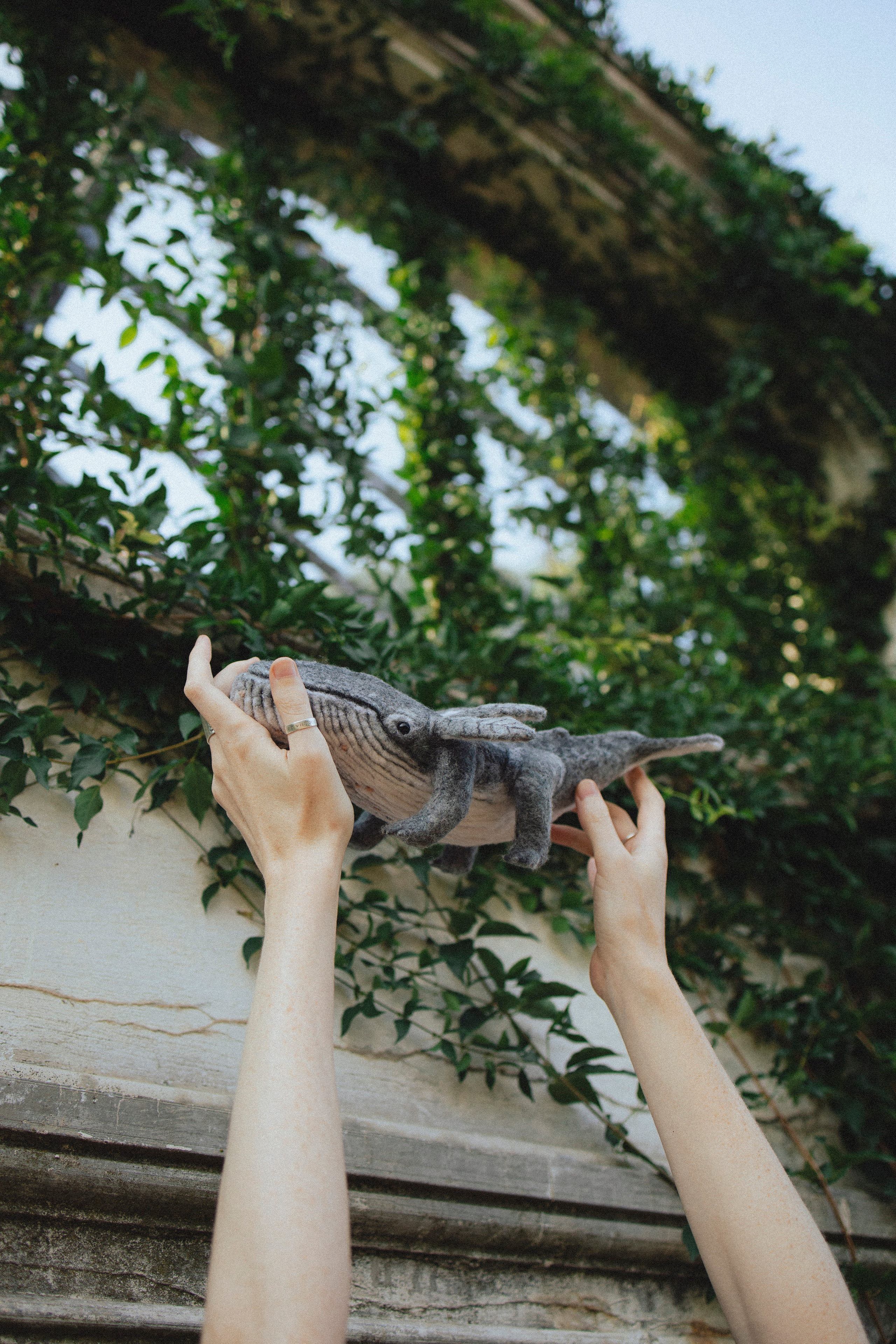 🤍. Главная