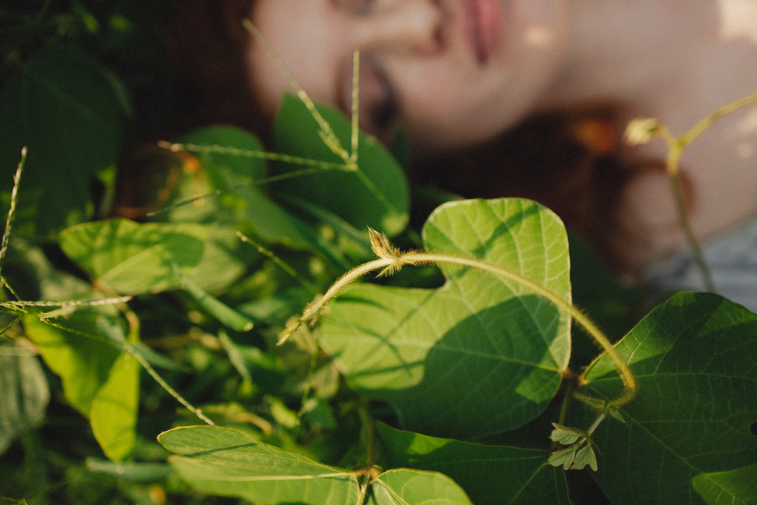 🤍. Главная