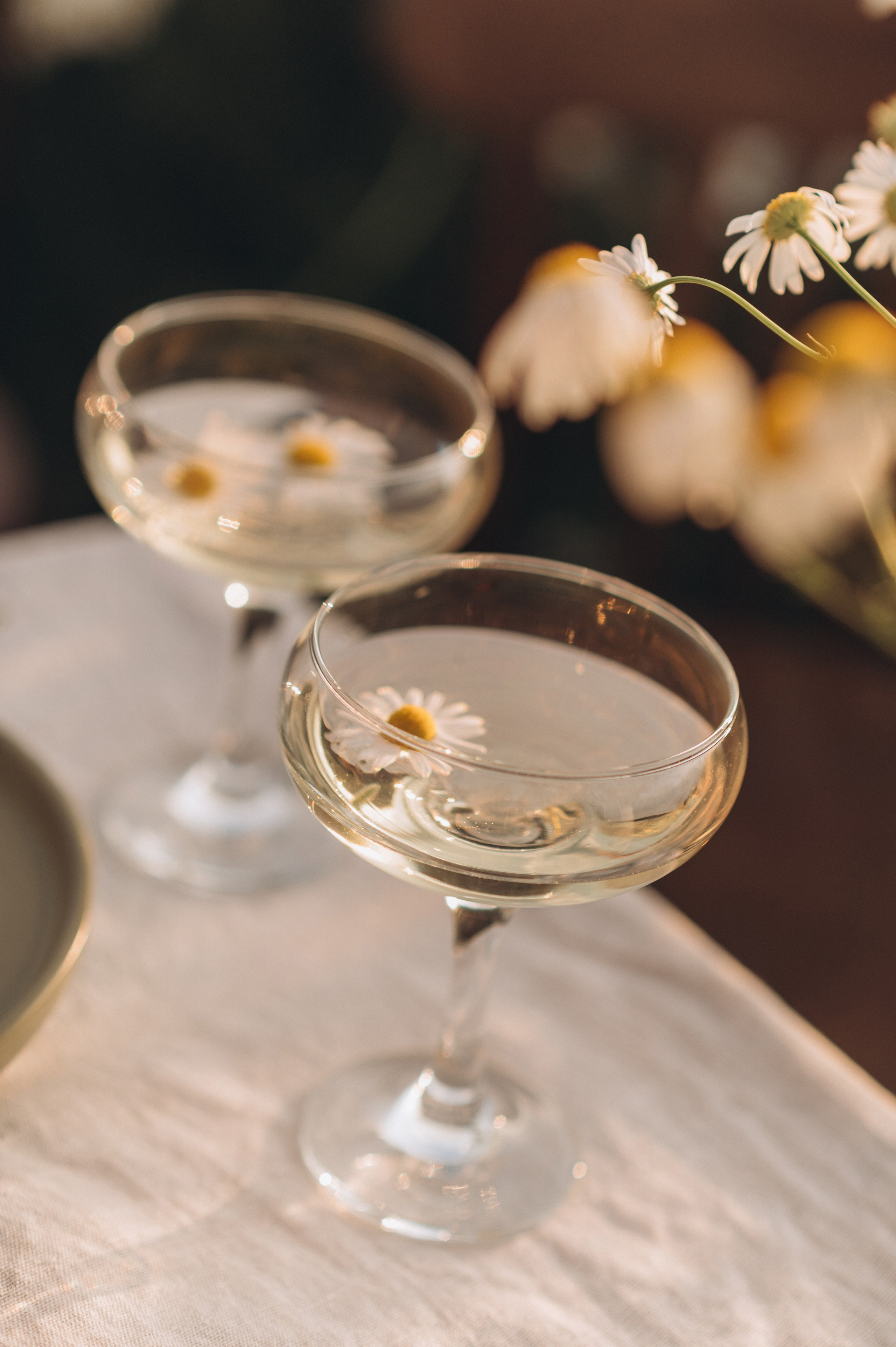 Ромашковое вдохновение. Фотограф Мария Стрелкова