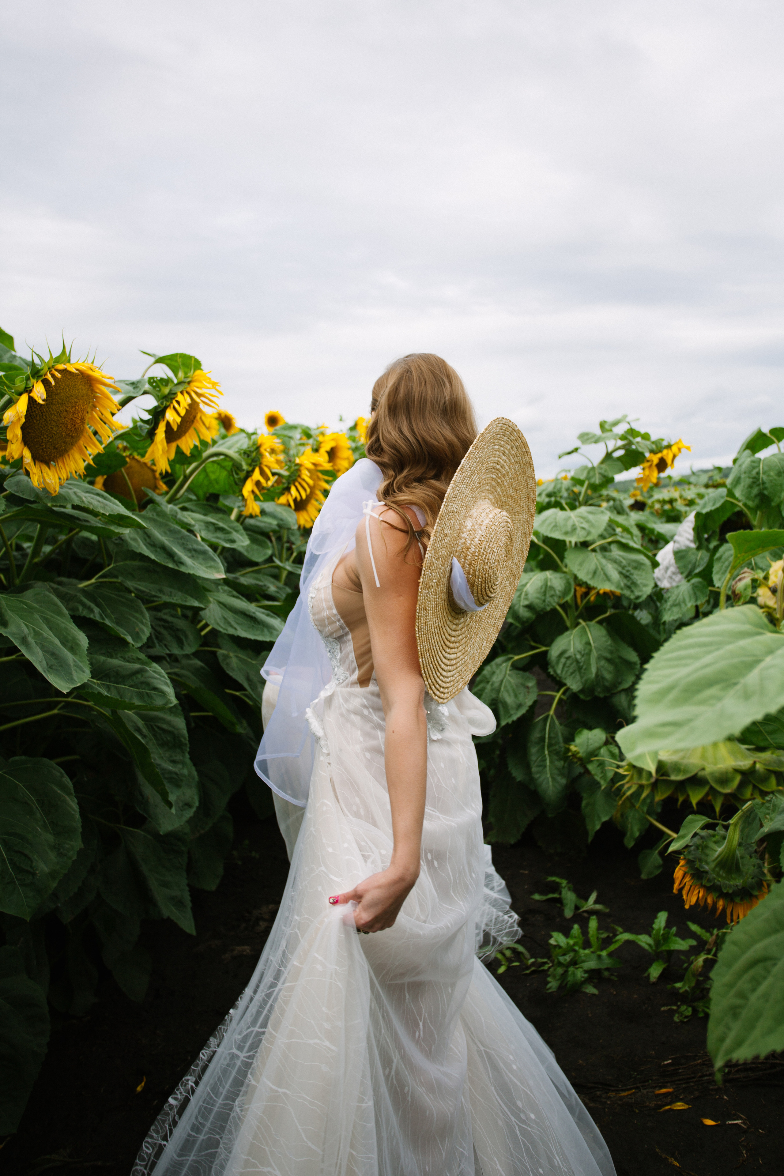 Подсолнухи. Фотограф Дарья Локотко в Красноярске