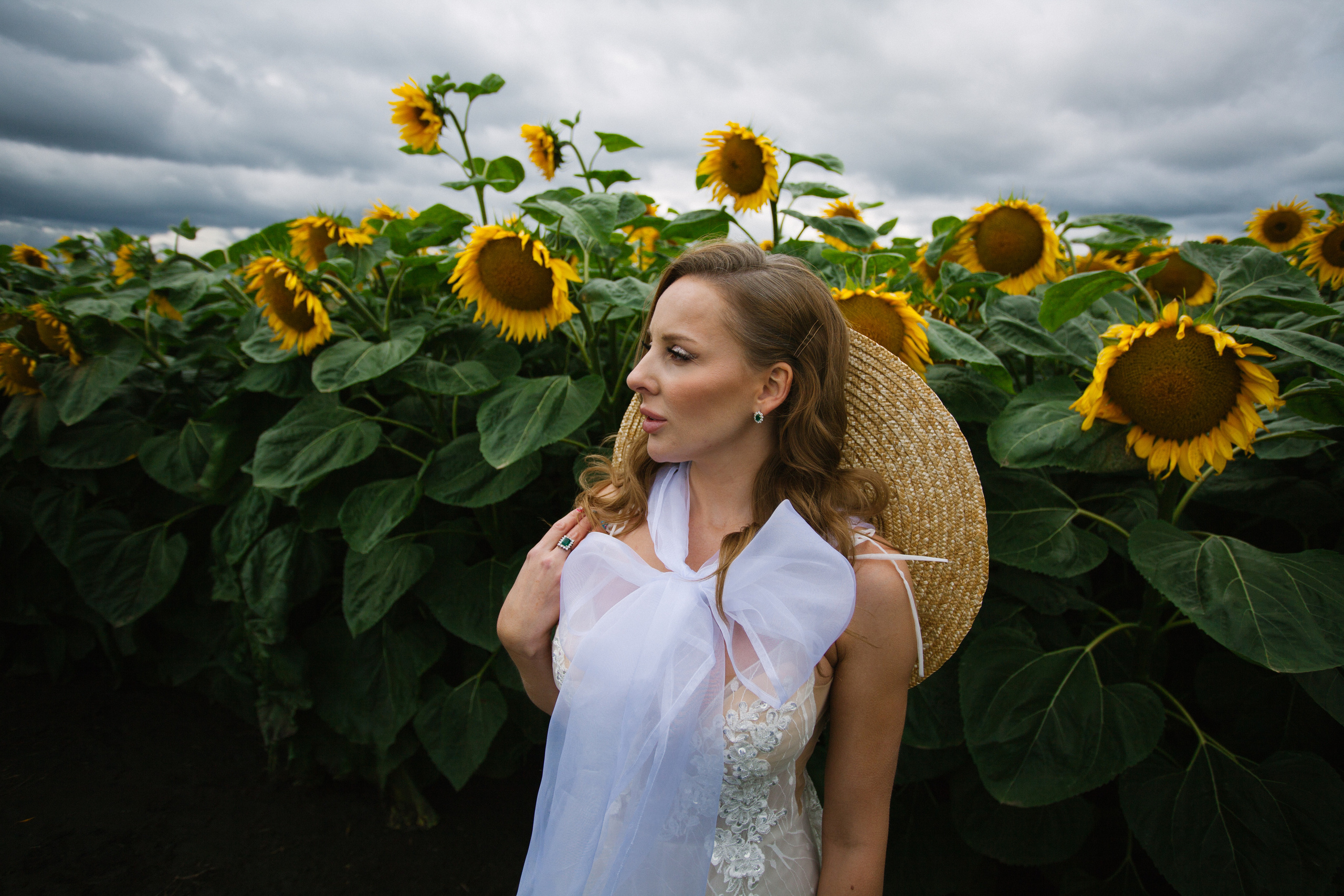 Подсолнухи. Фотограф Дарья Локотко в Красноярске