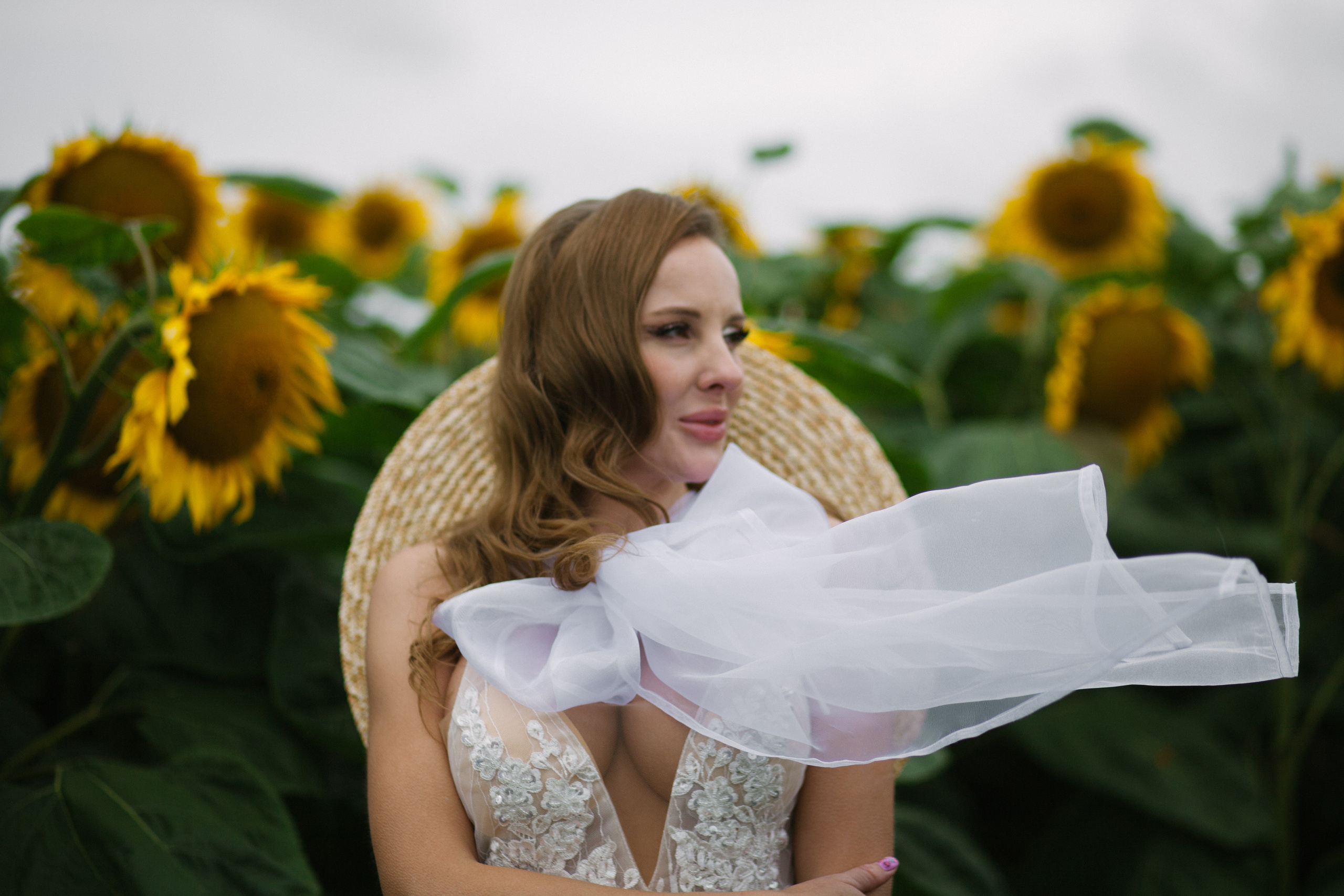 Подсолнухи. Фотограф Дарья Локотко в Красноярске