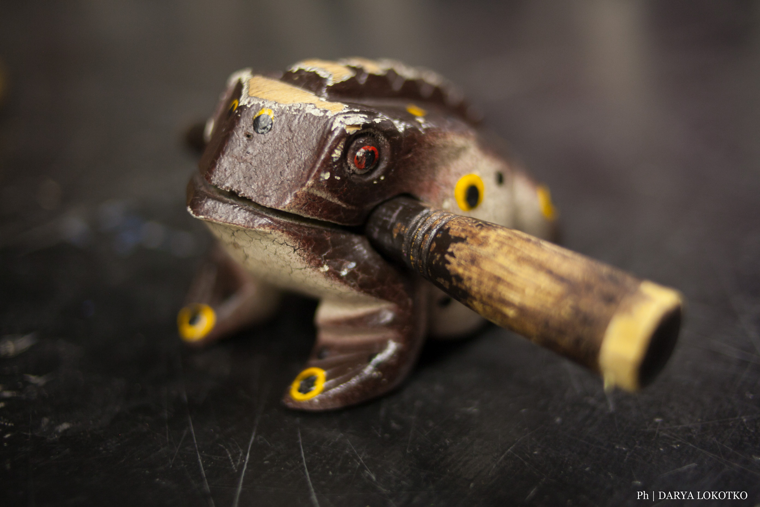 Барабанный пикник. Фотограф Дарья Локотко в Красноярске