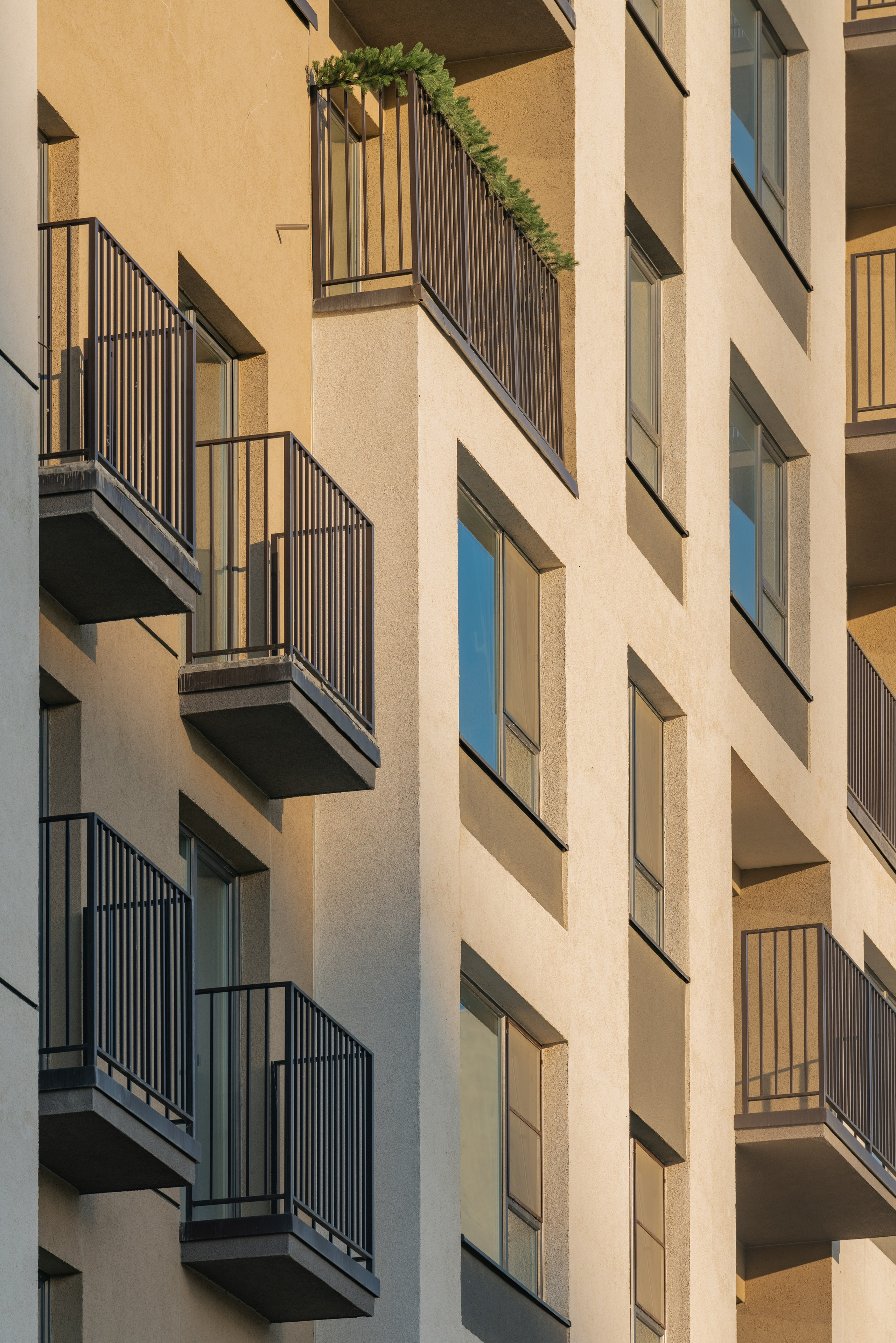 На Академическом | Брусника. Архитектурный фотограф Кирилл Цыбенко. Работаю в Москве, по всей России и Миру