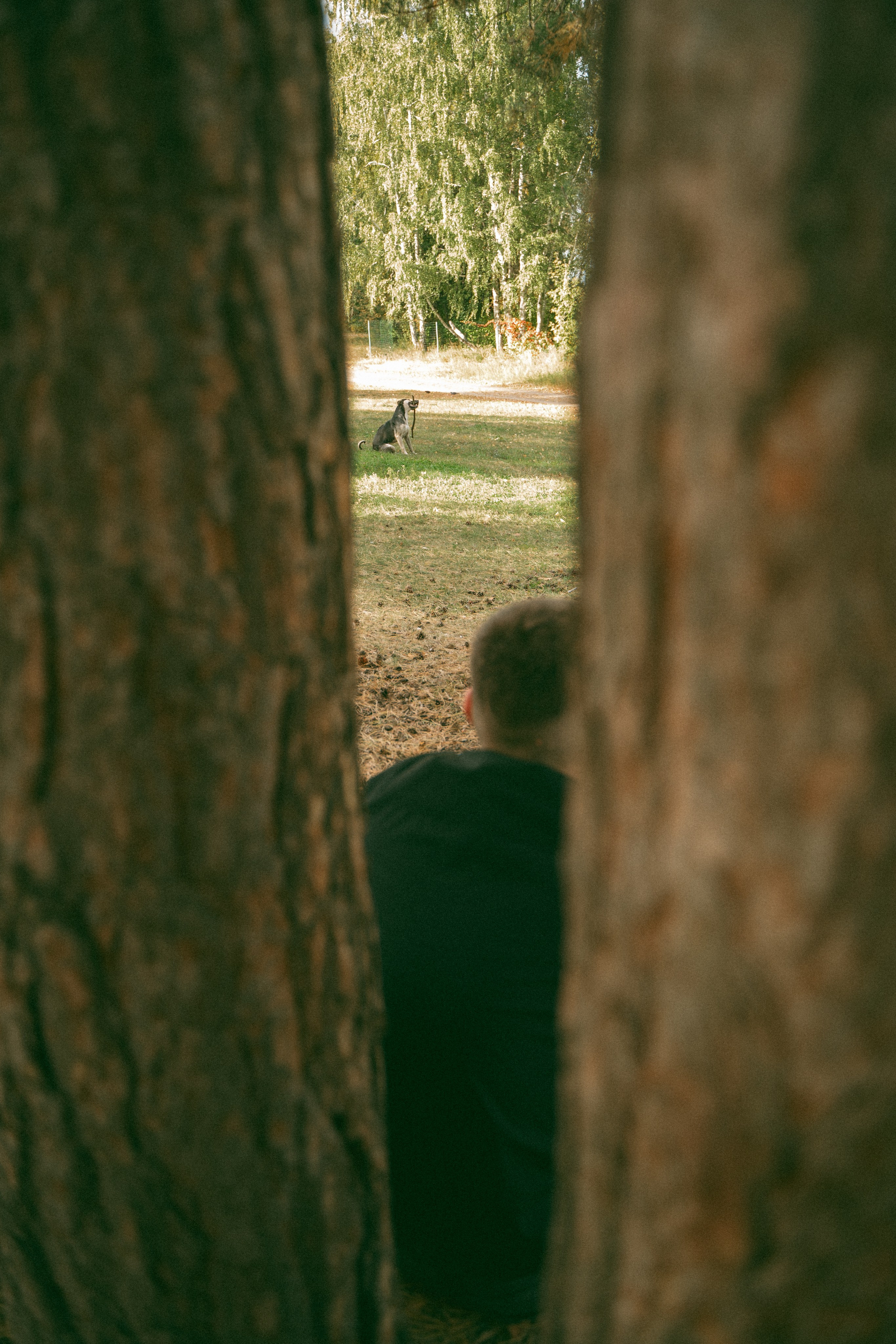 Прогулка в парке. Фотограф Мария Зайчик