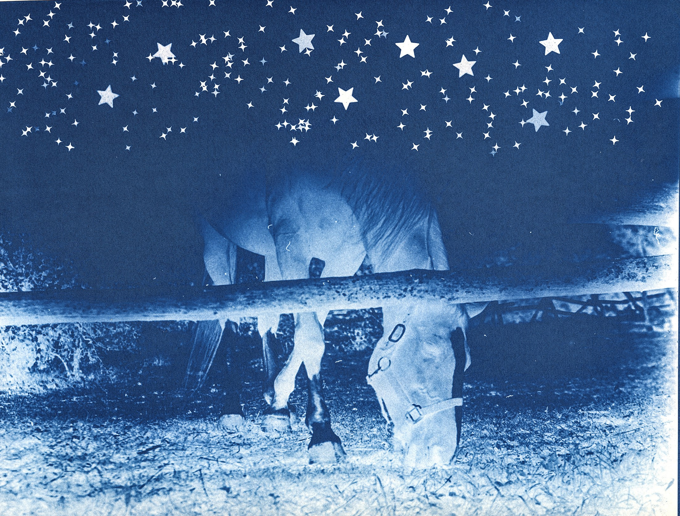 Alternative processes | gumoil | cyanotype | van dyke. Darkroom aesthetics