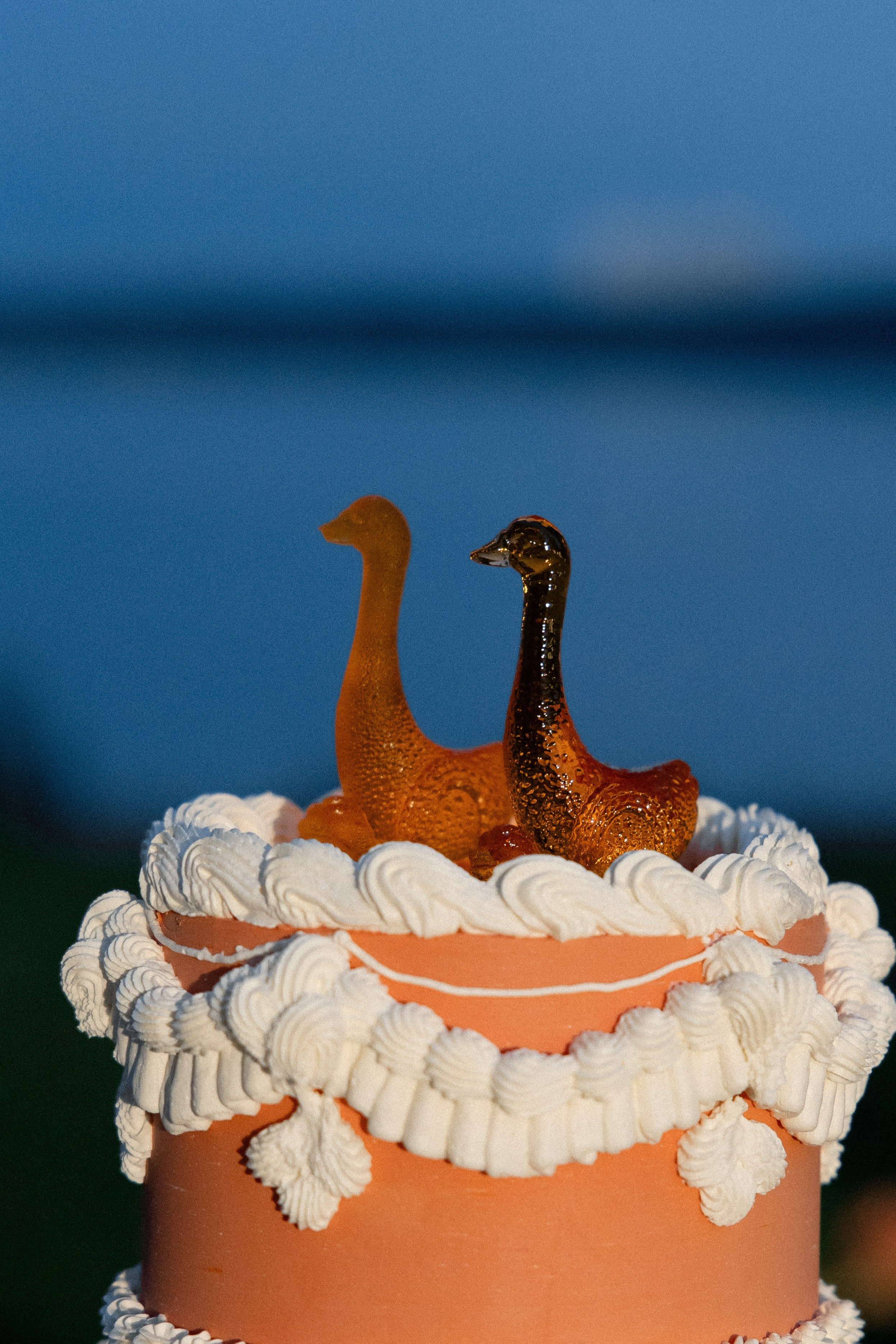 Аня и Костя. Свадебный и семейный фотограф Ракитин Илья