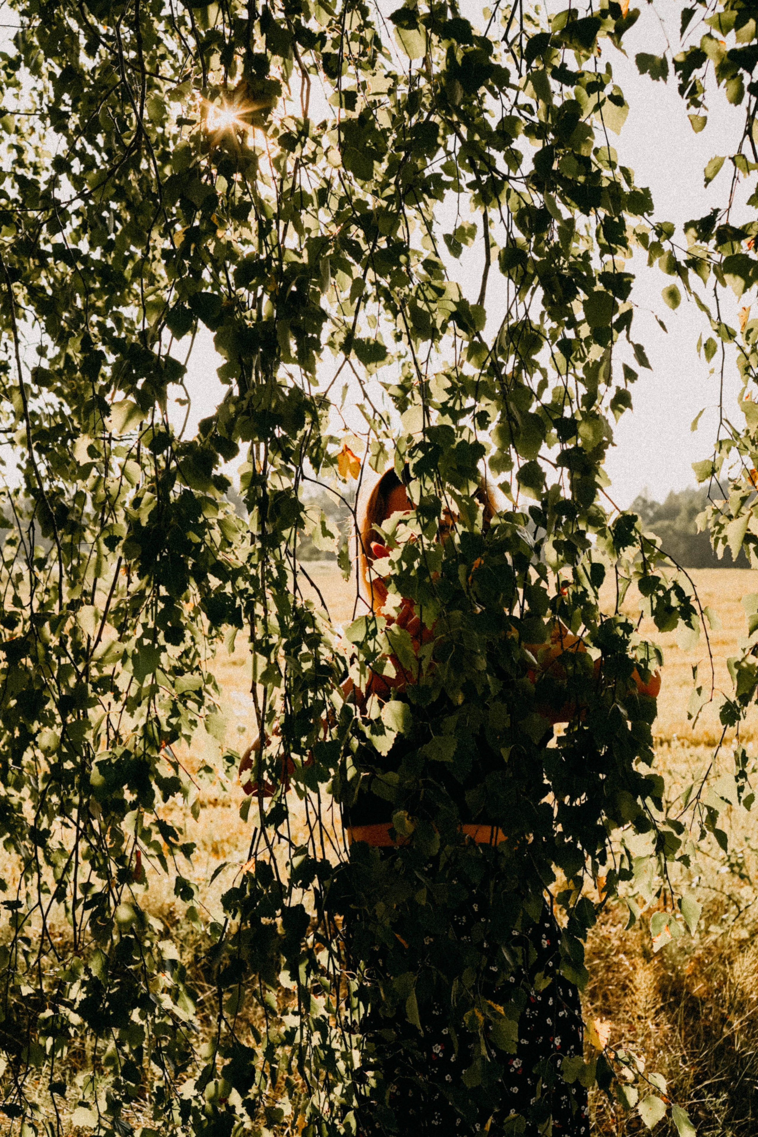 Деревня. Профессиональный фотограф, Санкт-Петербург — Виктория Богомолова