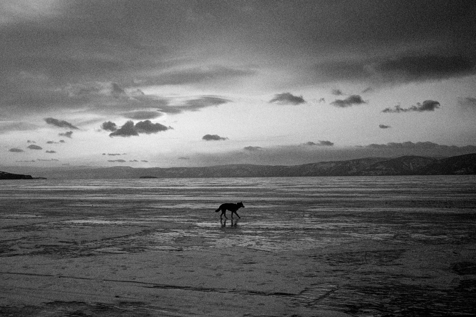 Байкал.Ольхон/Baikal.Olkhon. Документальный фотограф Алексей Мякишев, Москва