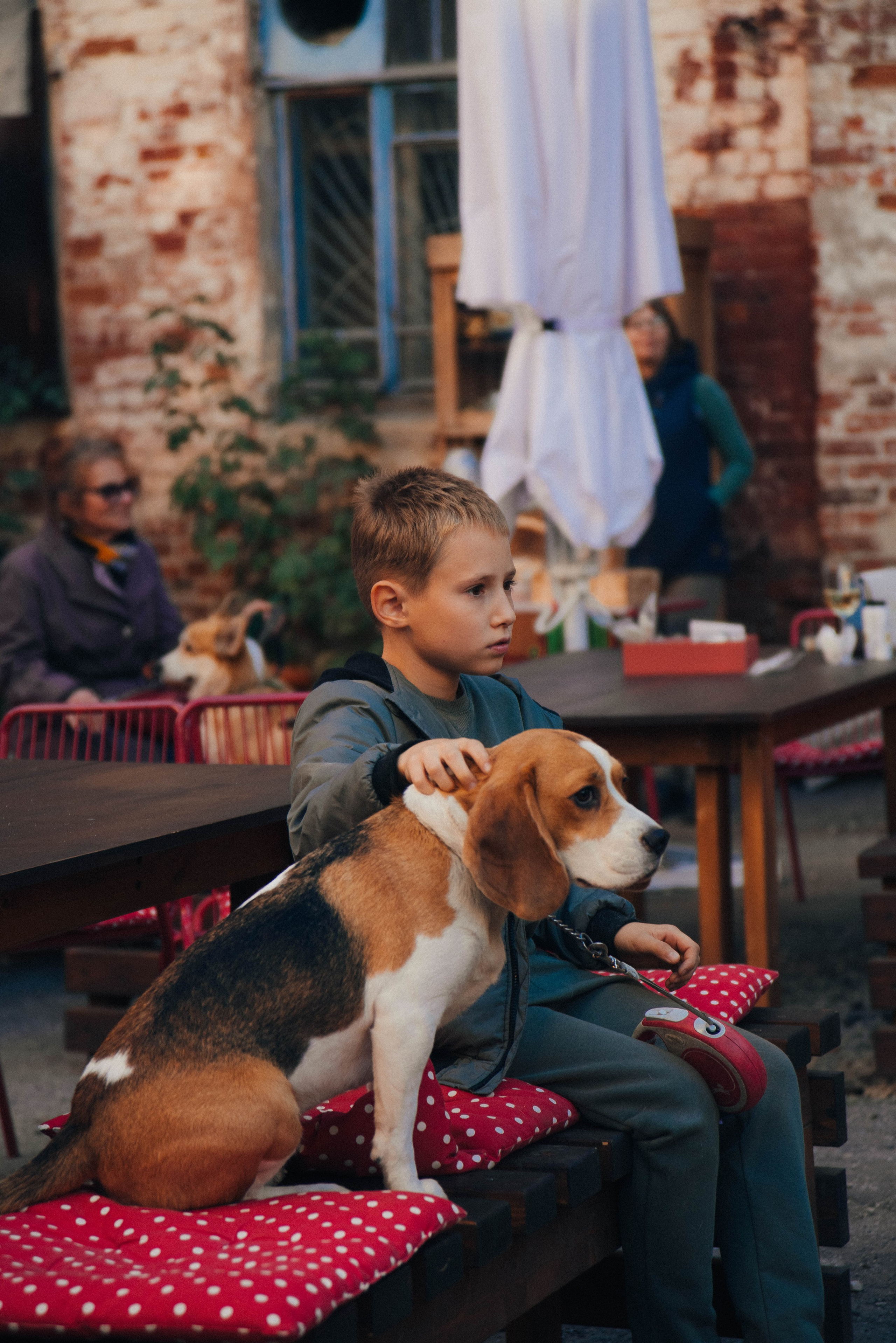 Дог-вечеринка на летнике «Кутёж». Ксения Glossa. Портретный и репортажный фотограф в Самаре