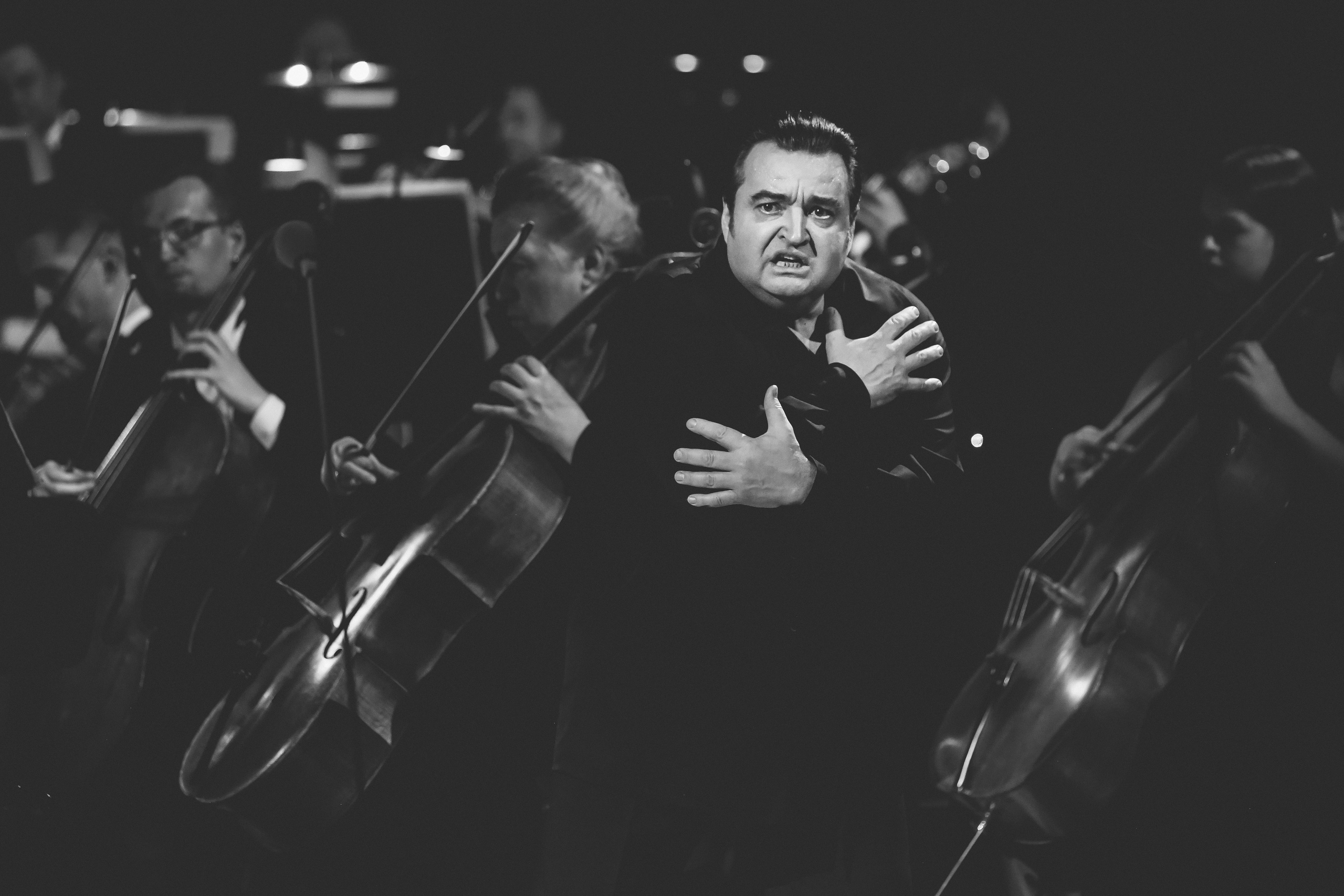 Концерт к 30-летию театра «Новая опера». Дарья Письменюк / Darya Leitstern — фотограф, музыкант, журналист, путешественник