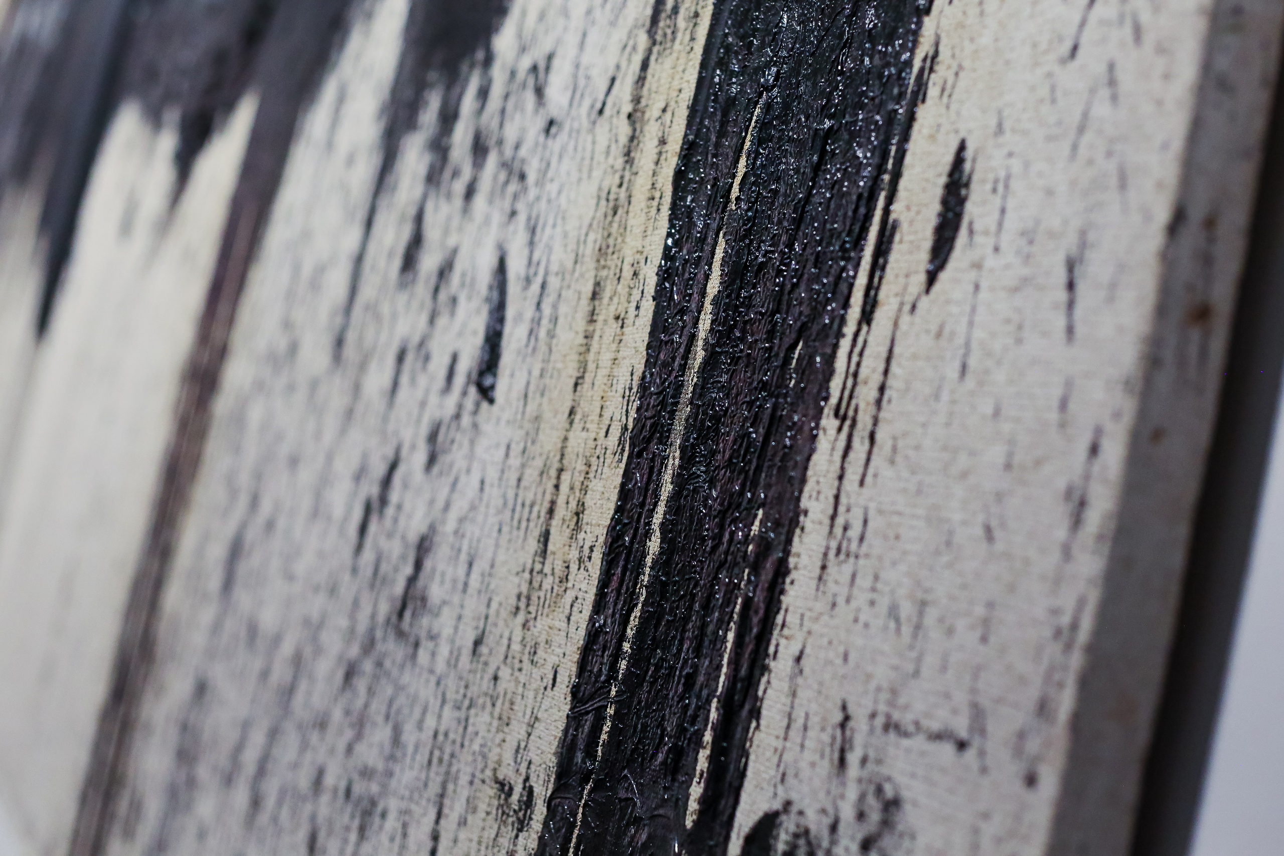 VIII Московская биеннале современного искусства. Дарья Письменюк / Darya Leitstern — фотограф, музыкант, журналист, путешественник