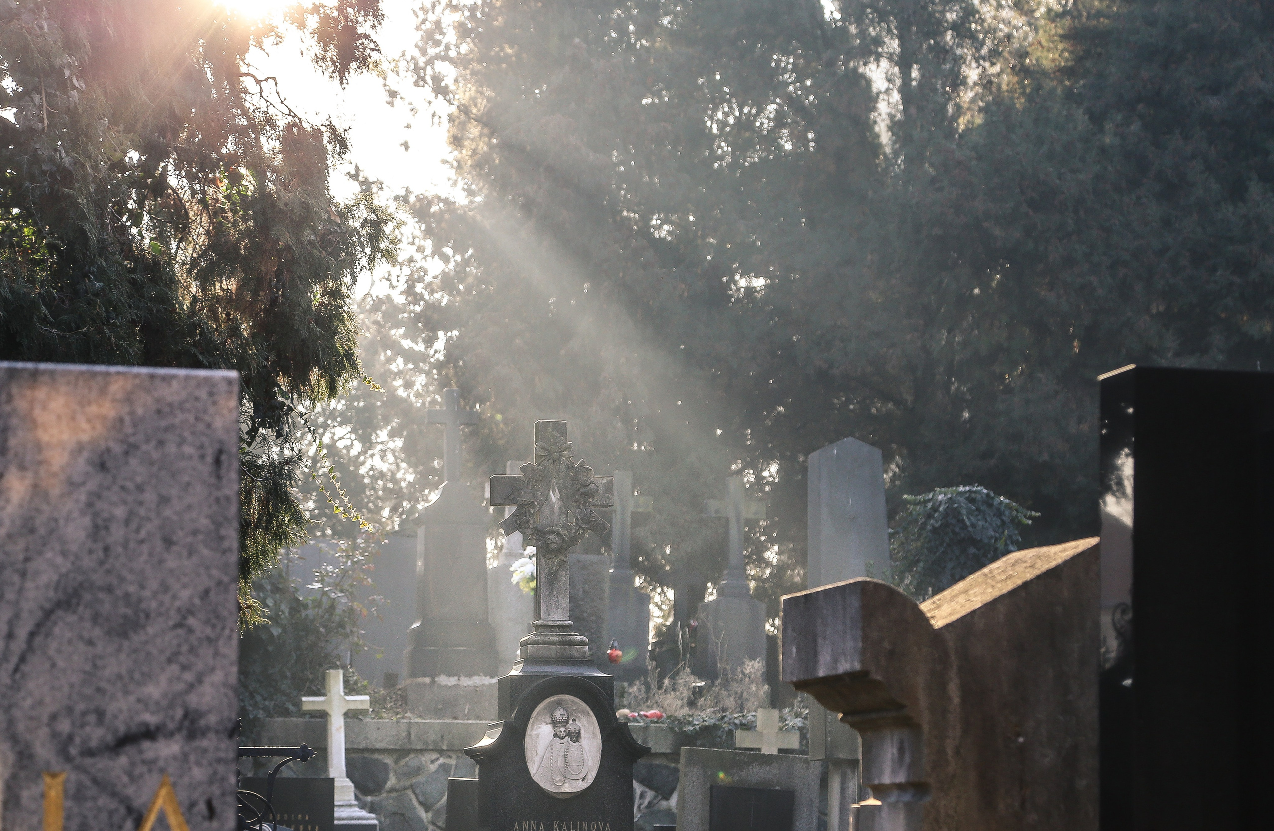 Чехия: Прага. Дарья Письменюк / Darya Leitstern — фотограф, музыкант, журналист, путешественник