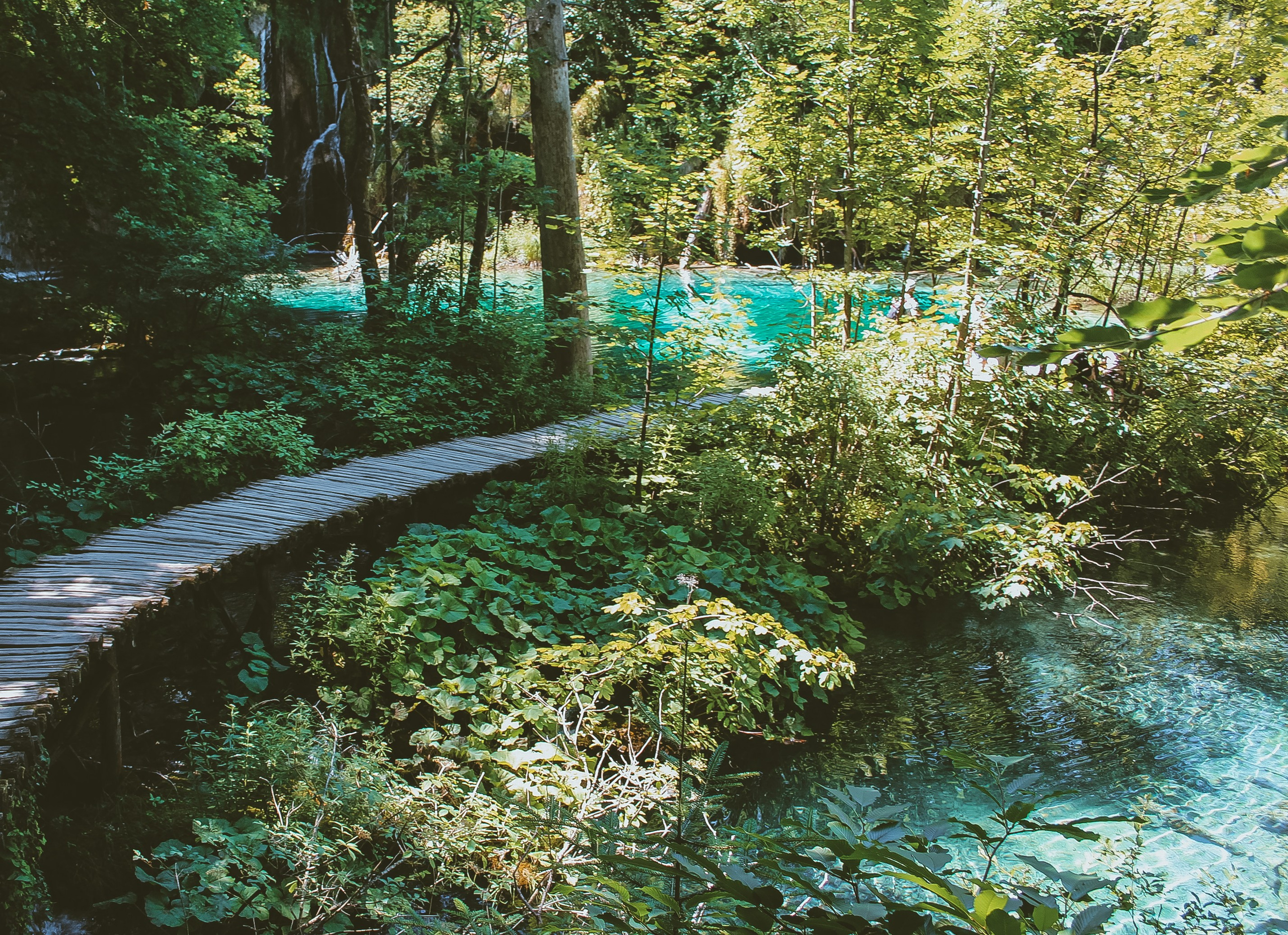 Хорватия: Плитвицкие озера. Дарья Письменюк / Darya Leitstern — фотограф, музыкант, журналист, путешественник