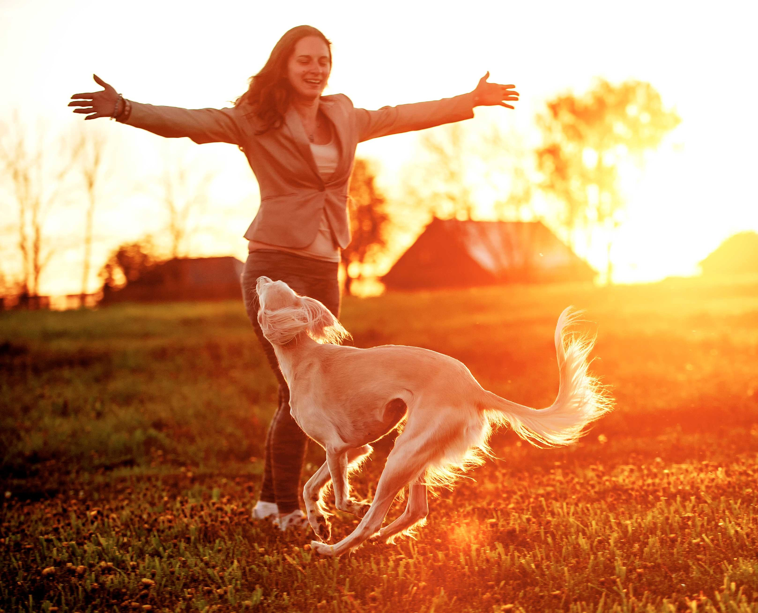 Фото с домашними питомцами. Портретная и свадебная фотосъемка. Москва и область