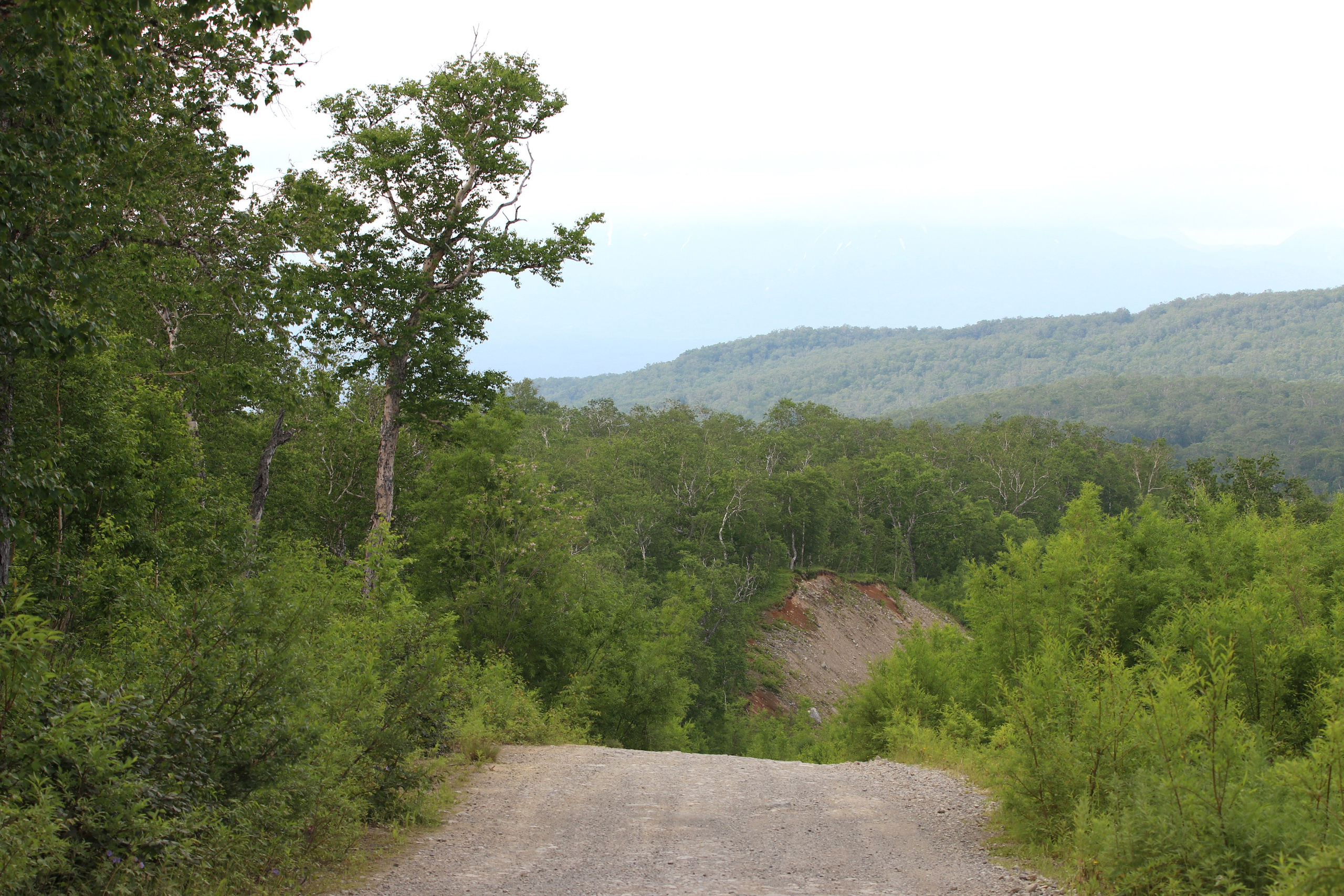 Камчатка и о. Парамушир. Июль 2024. Путешественник-фотограф из Санкт-Петербурга Татьяна Свистулина