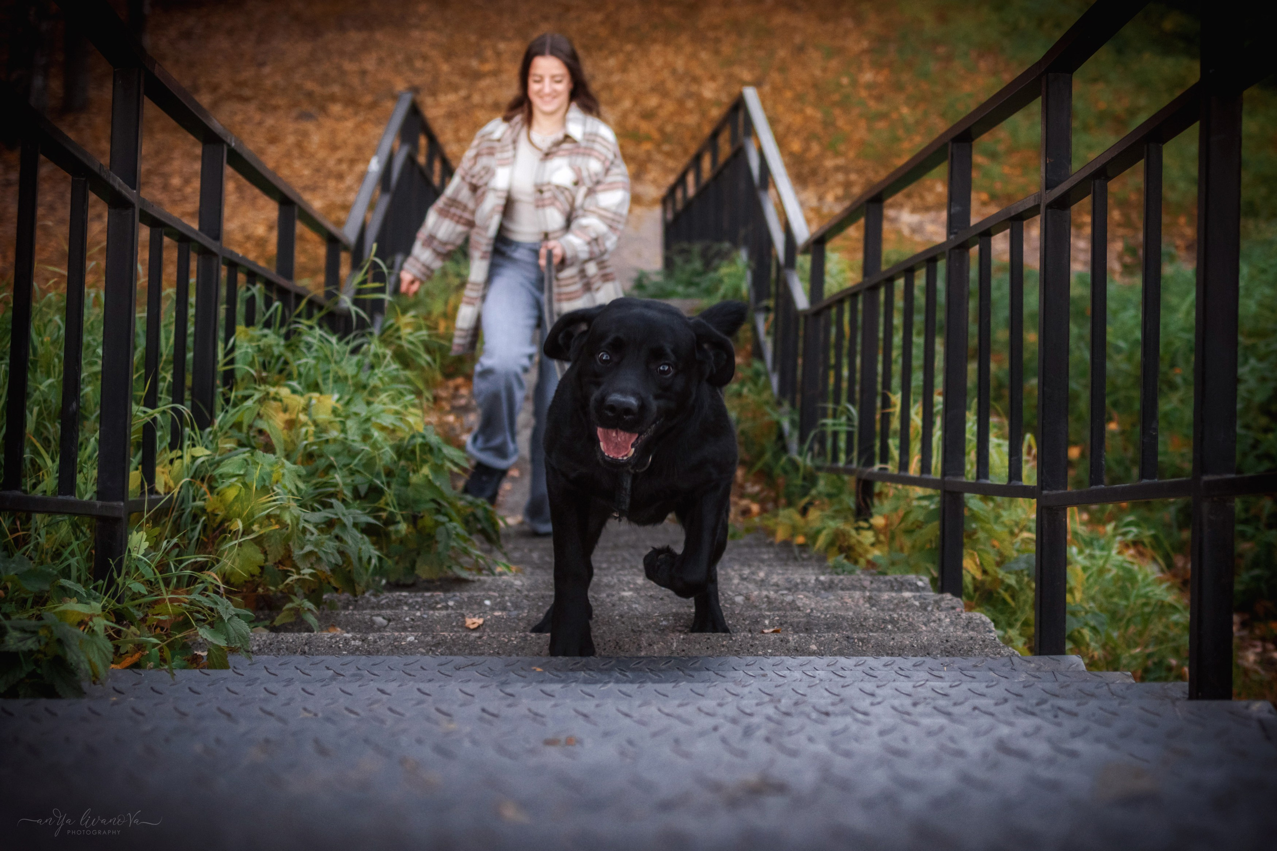 Оскар и его семья в парке. Фотограф анималист Аня Ливанова | Рыбинск