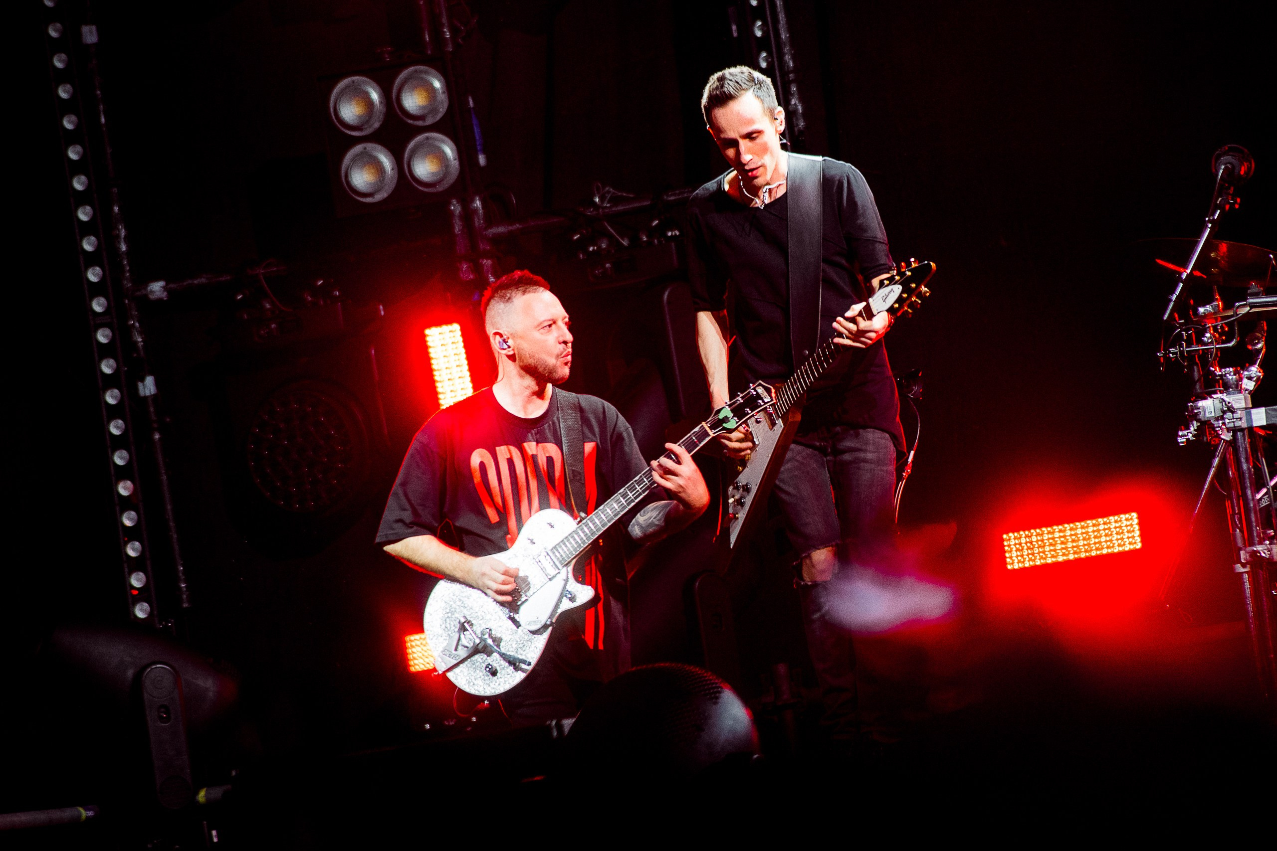 Звери 2025. Репортажный фотограф в Кемерово