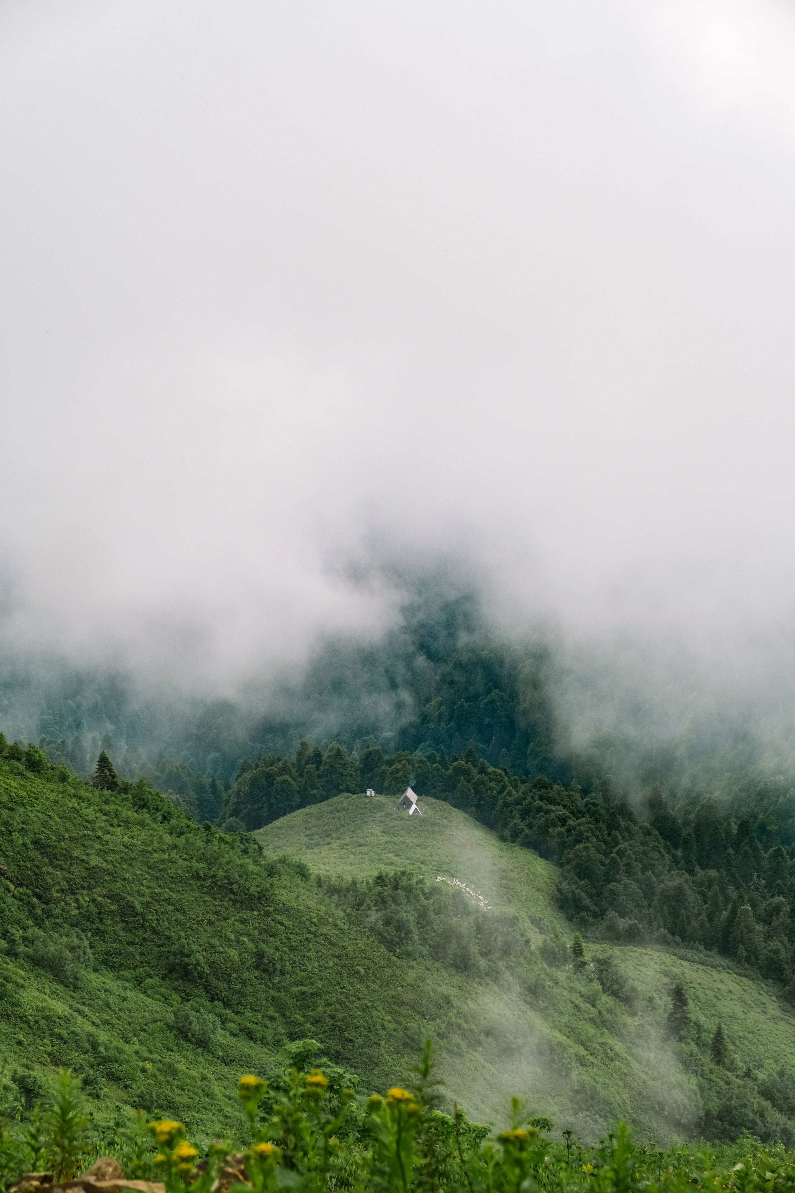 Оля / Слава. Свадебный Видеограф Фотограф в Сочи
