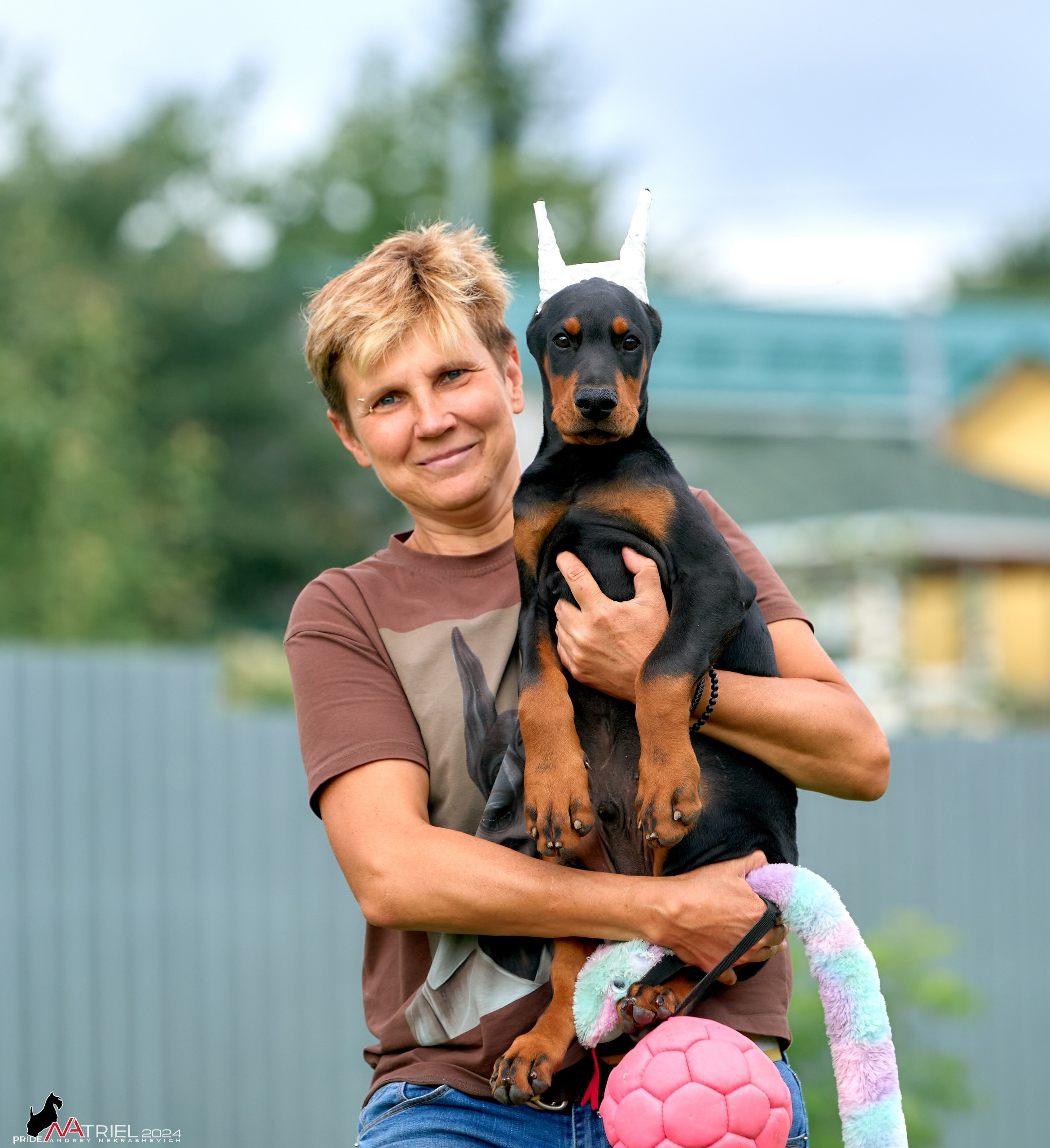 Съемка щенков доберманы