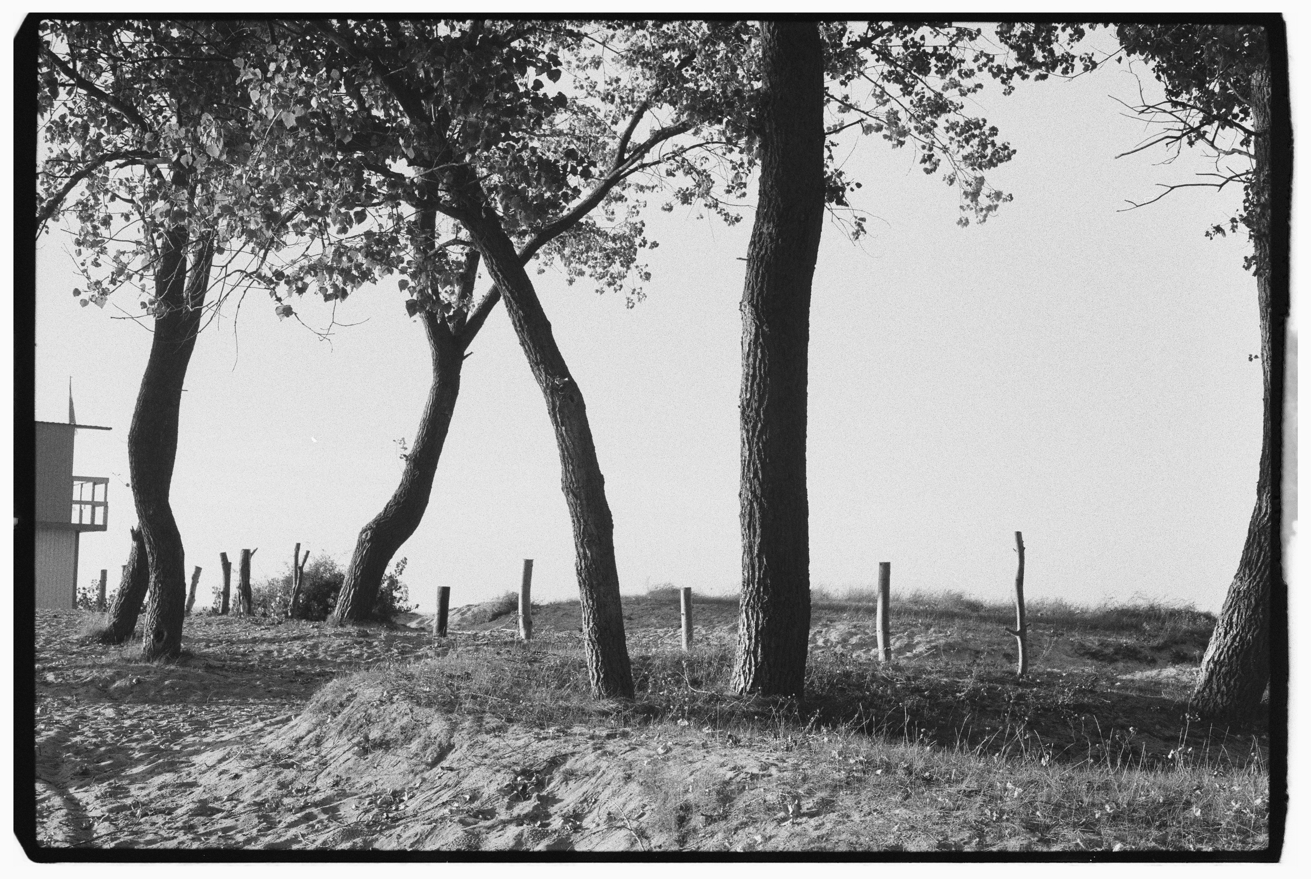 Калининград. Портретный фотограф Софья Хворостова