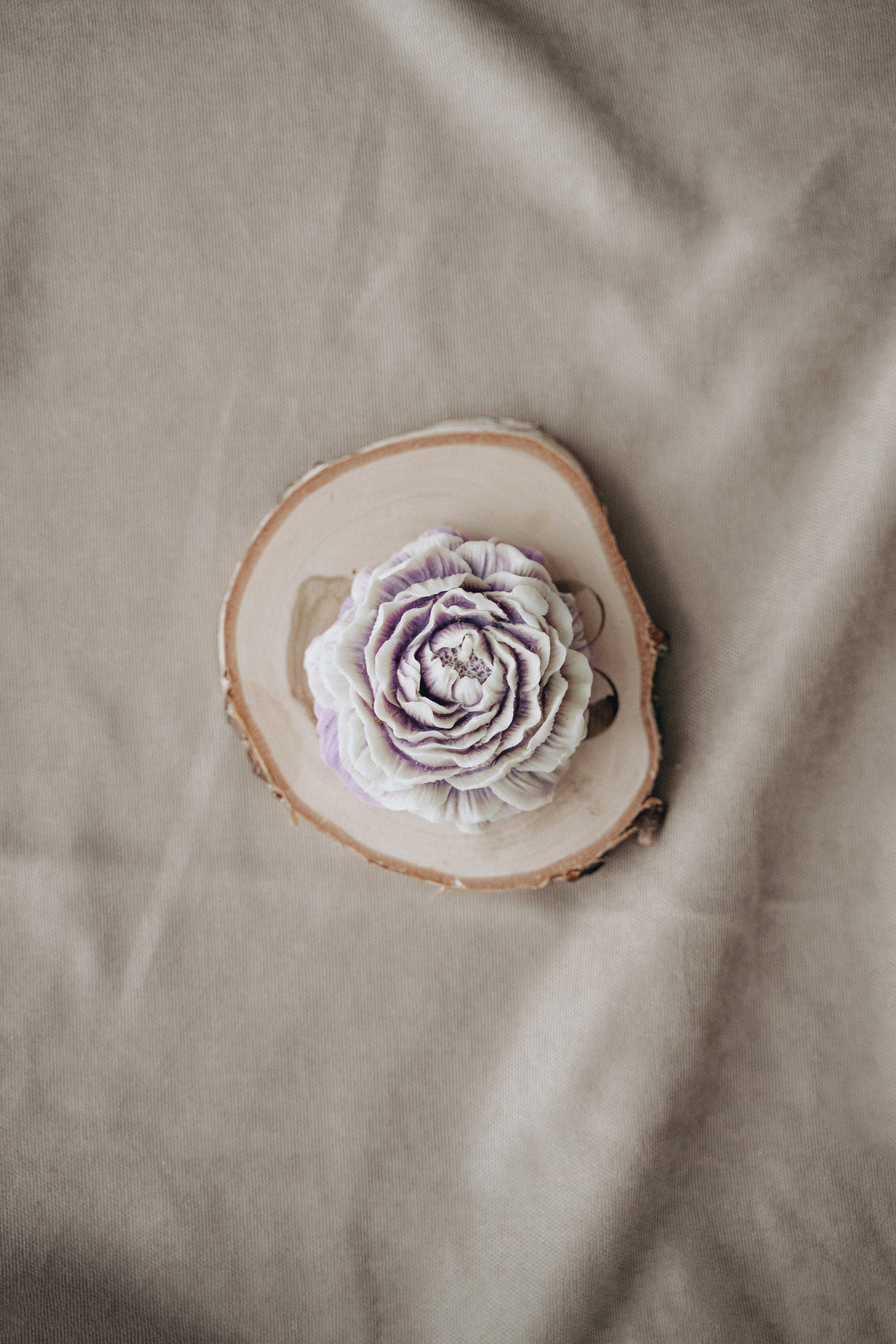 Алёна Лушникова, духовный проводник. Екатерина Курбанова. Женский фотограф