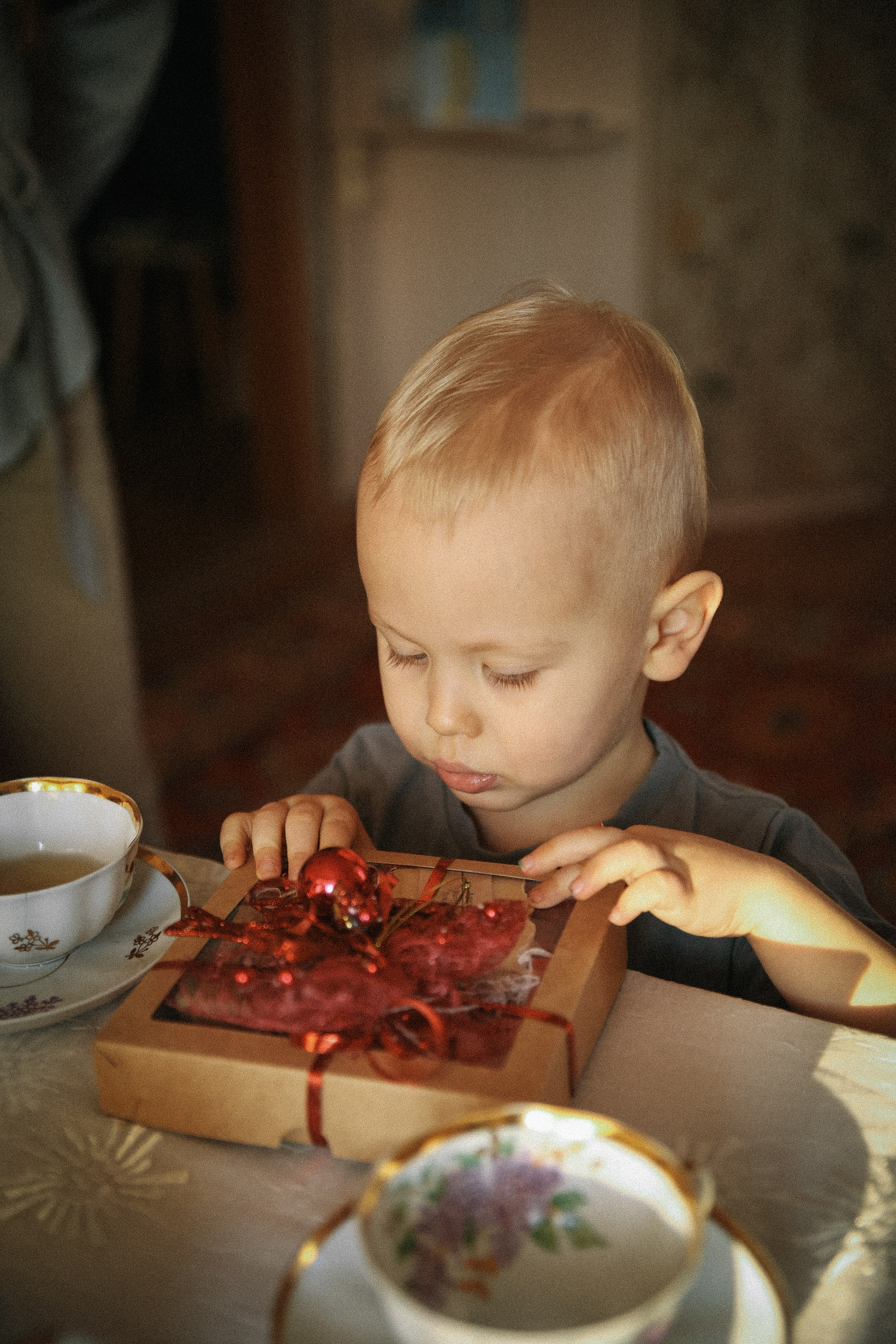Семейная фотосессия домашняя фотосессия бабушка в гостях у бабушки. Фотограф Владимир Москва