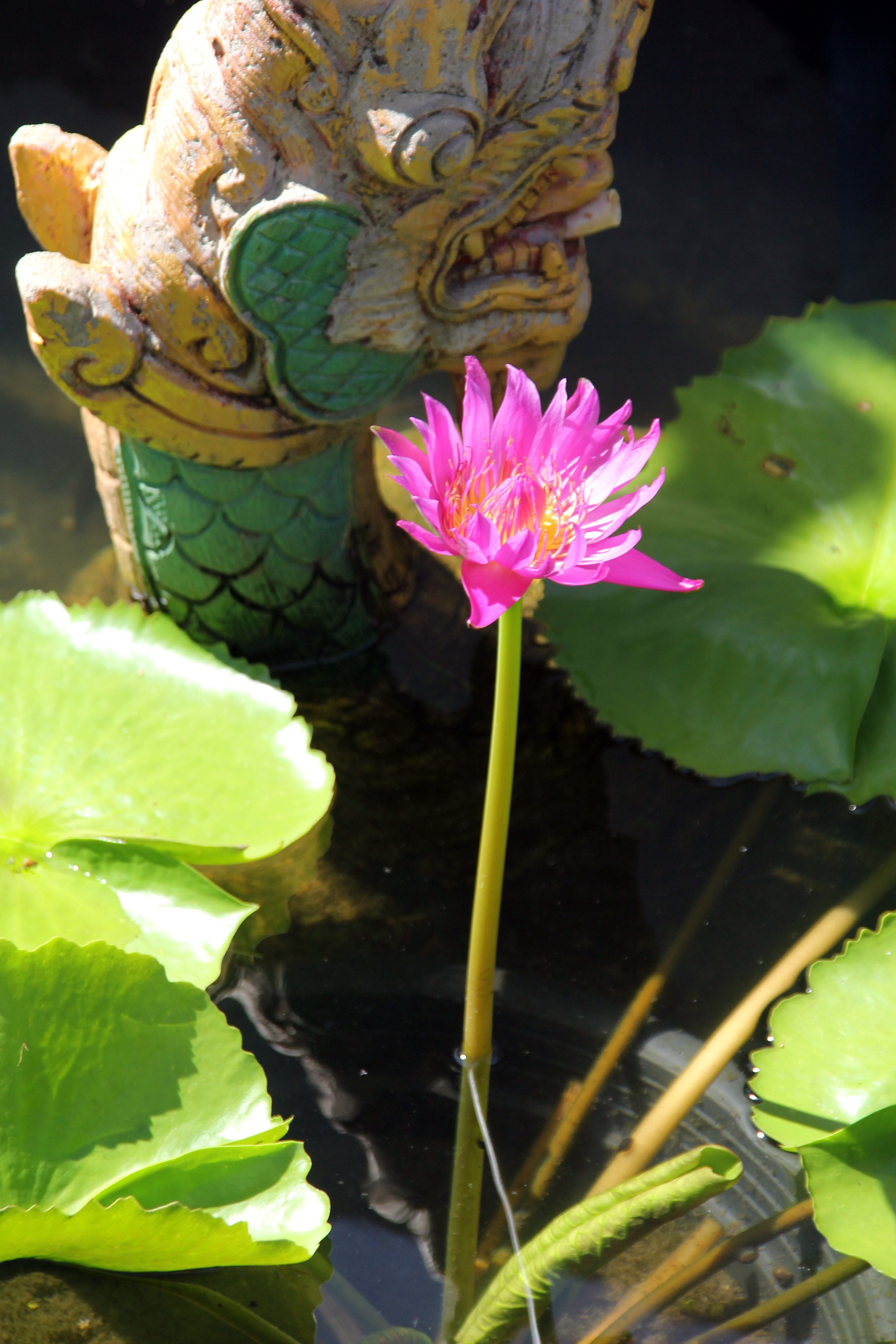 Пхукет. Фотограф Алексей Федорищев