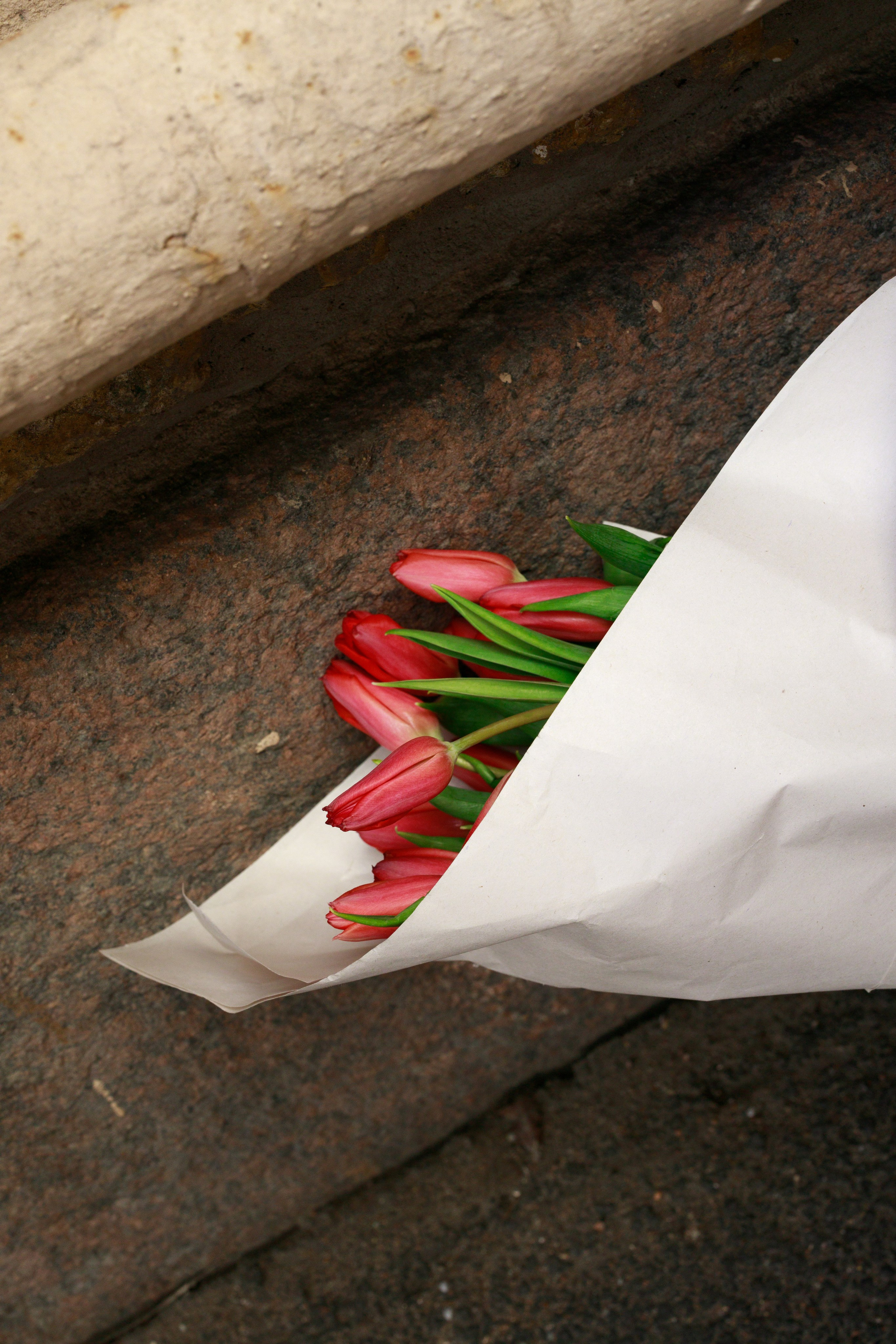 Фотопрогулка в городе с тюльпанами. Фотограф Санкт-Петербург Конюхова Мария