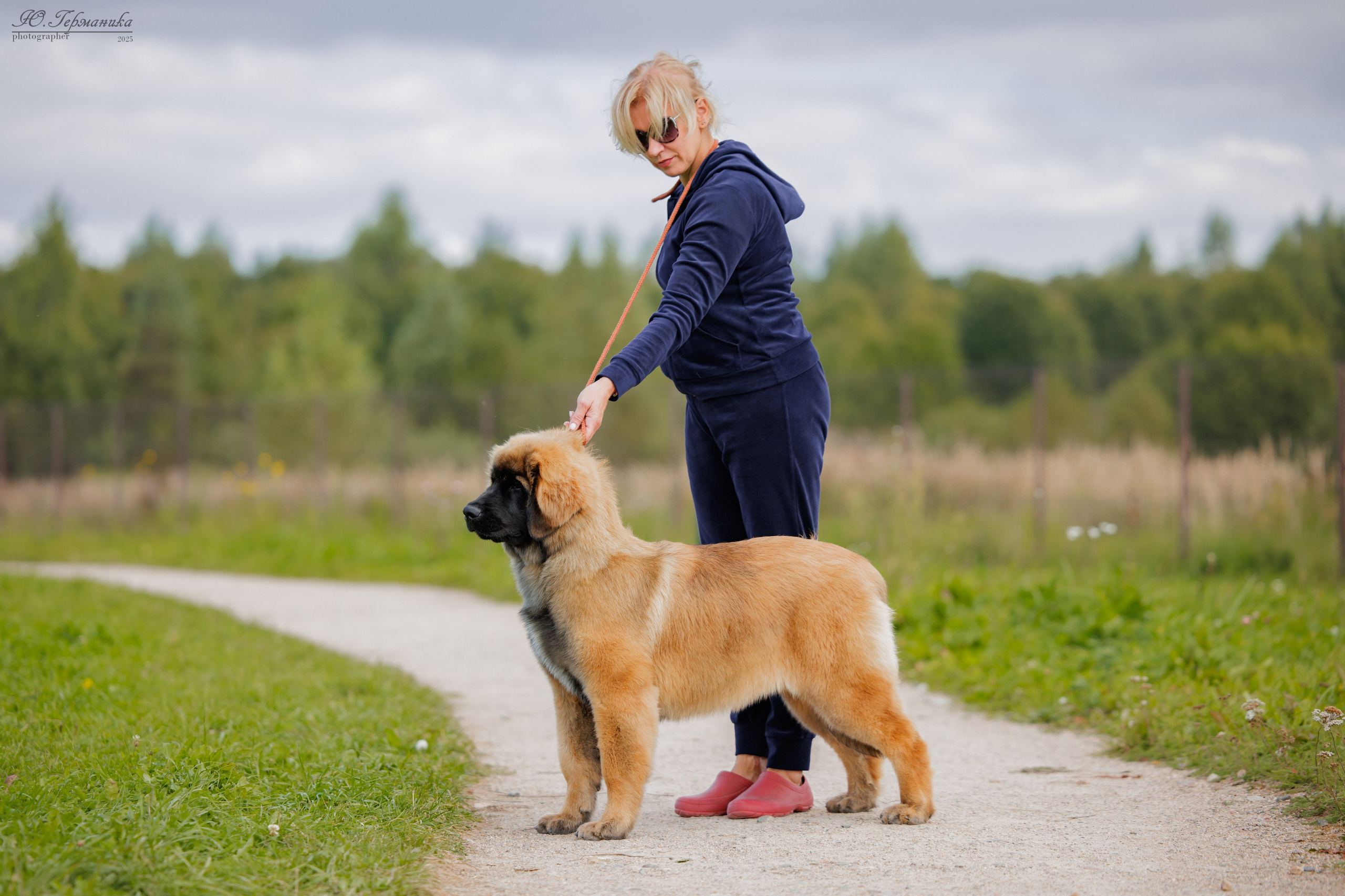 Переславль 5-7.08.2025. Фотограф-анималист Юлия Германика