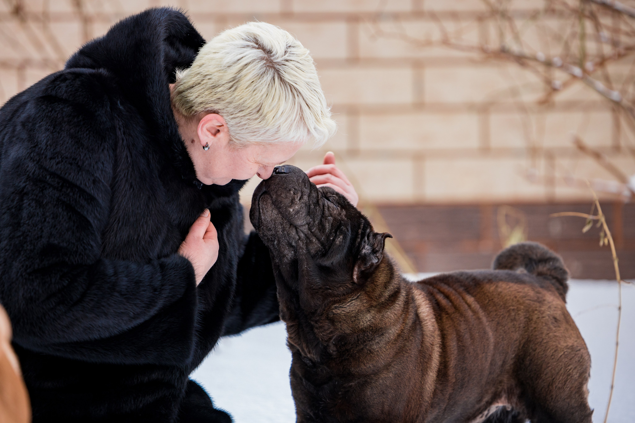 В гостях у шарпеев 16.01.2024. Фотограф-анималист Юлия Германика