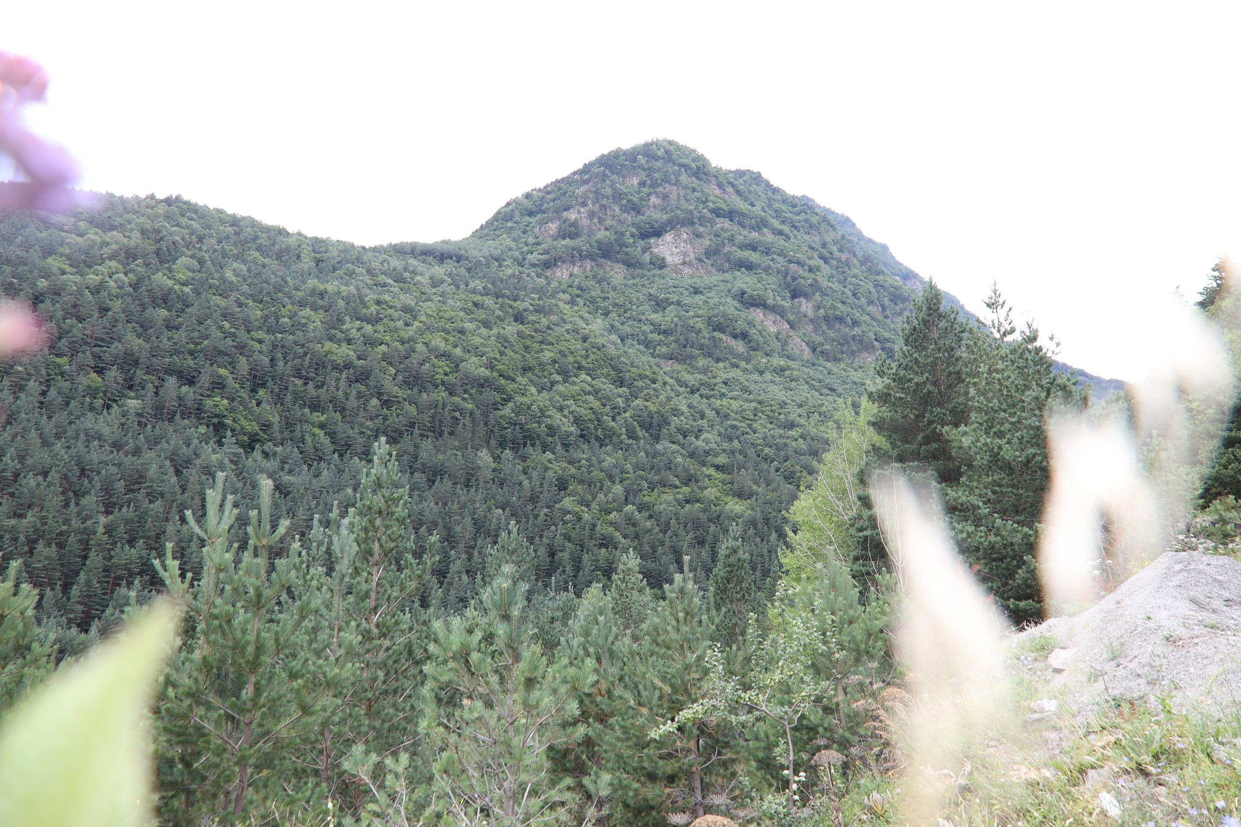 Северная Осетия июль 2025 год. Кармадон, Даргивз и Цей. Семейный детский фотограф Краснодарский край Оксана Колос