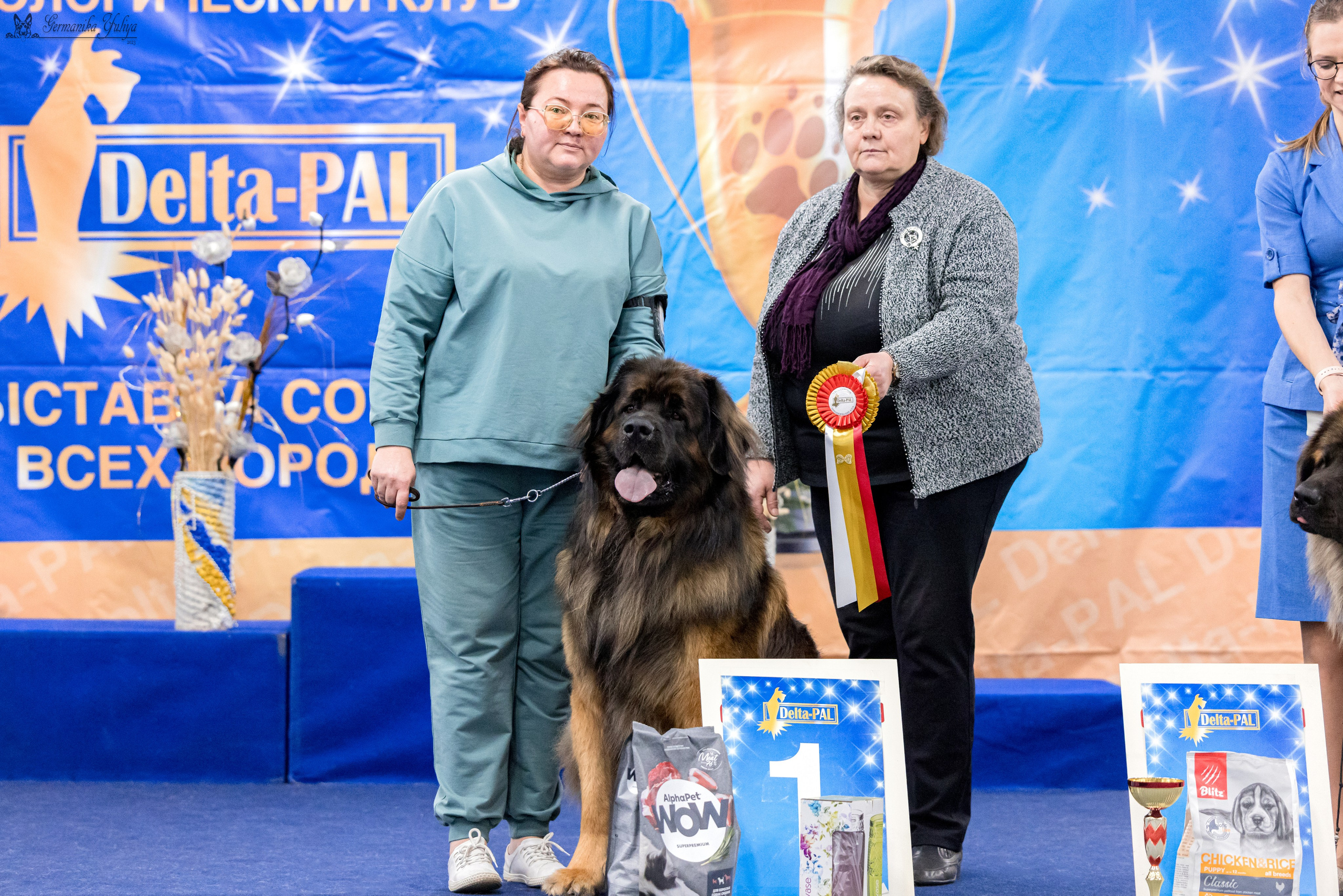 Сфера 29.10,Крокус 4.11,Сфера 12.11.2023. Фотограф-анималист Юлия Германика