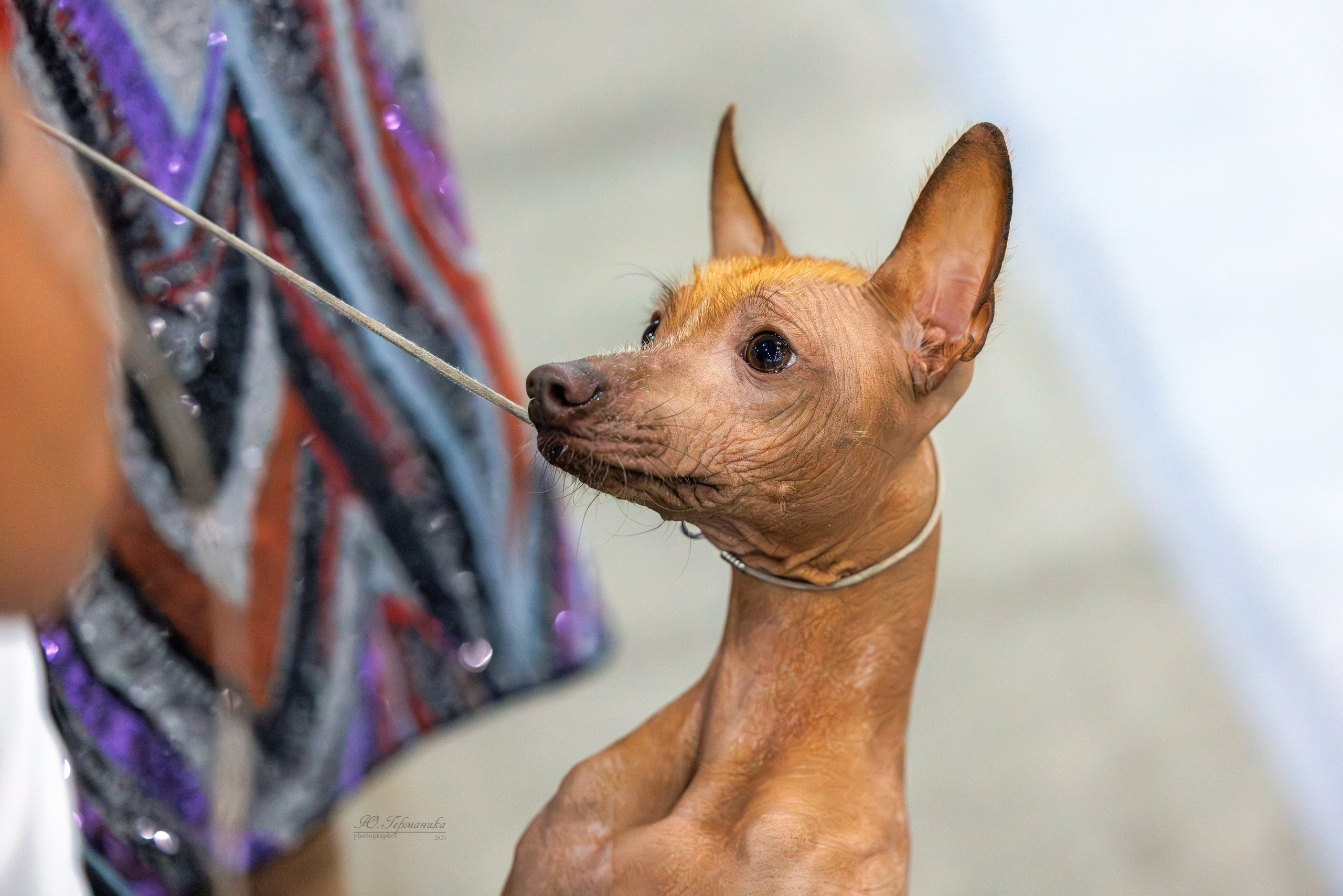 Евразия 15-16.11.2025