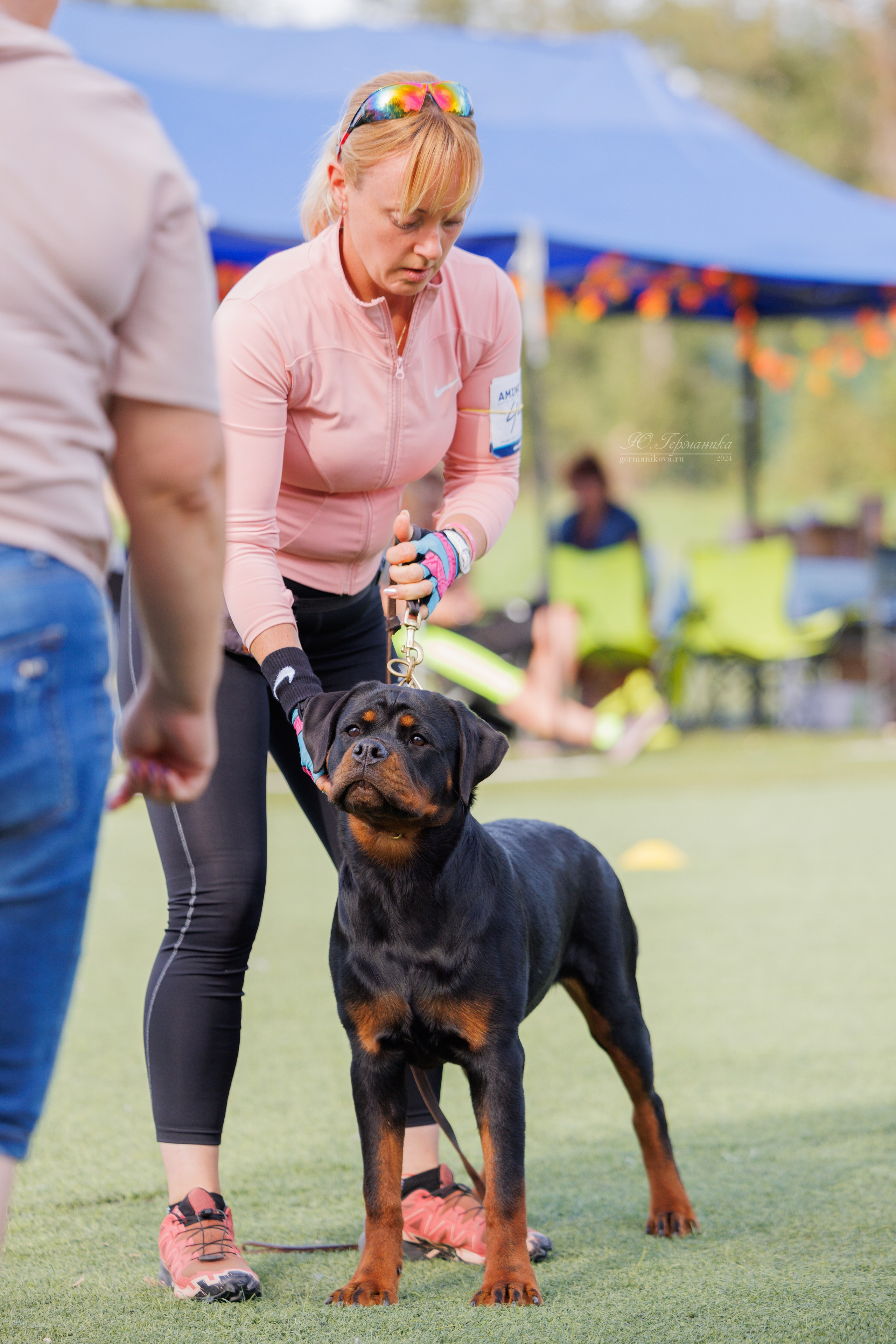 Анапа ротвейлеры 14-15.09.2024. Фотограф-анималист Юлия Германика