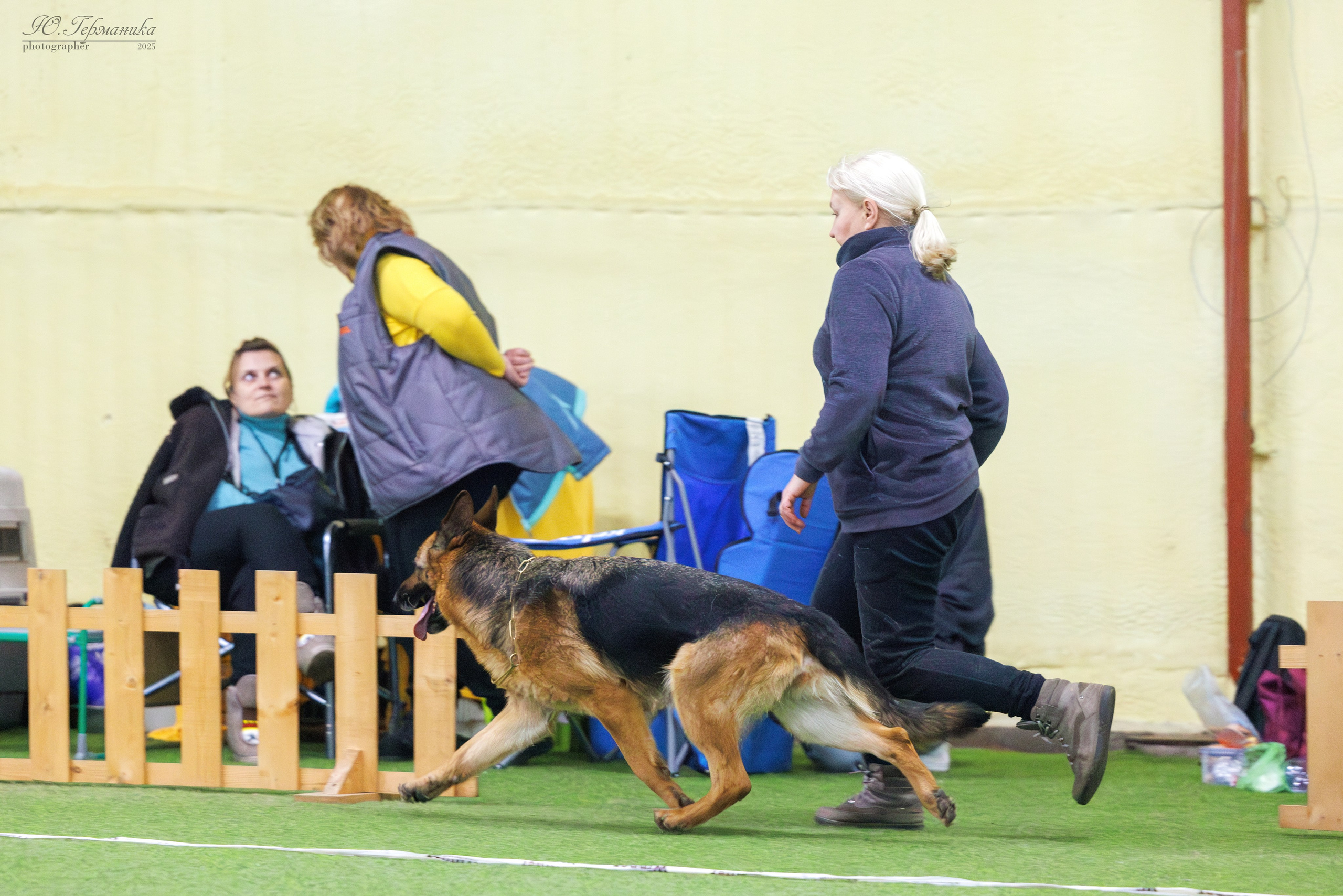 Гран-При 8.02.2025 и Крокус 09.02.2025. Фотограф-анималист Юлия Германика