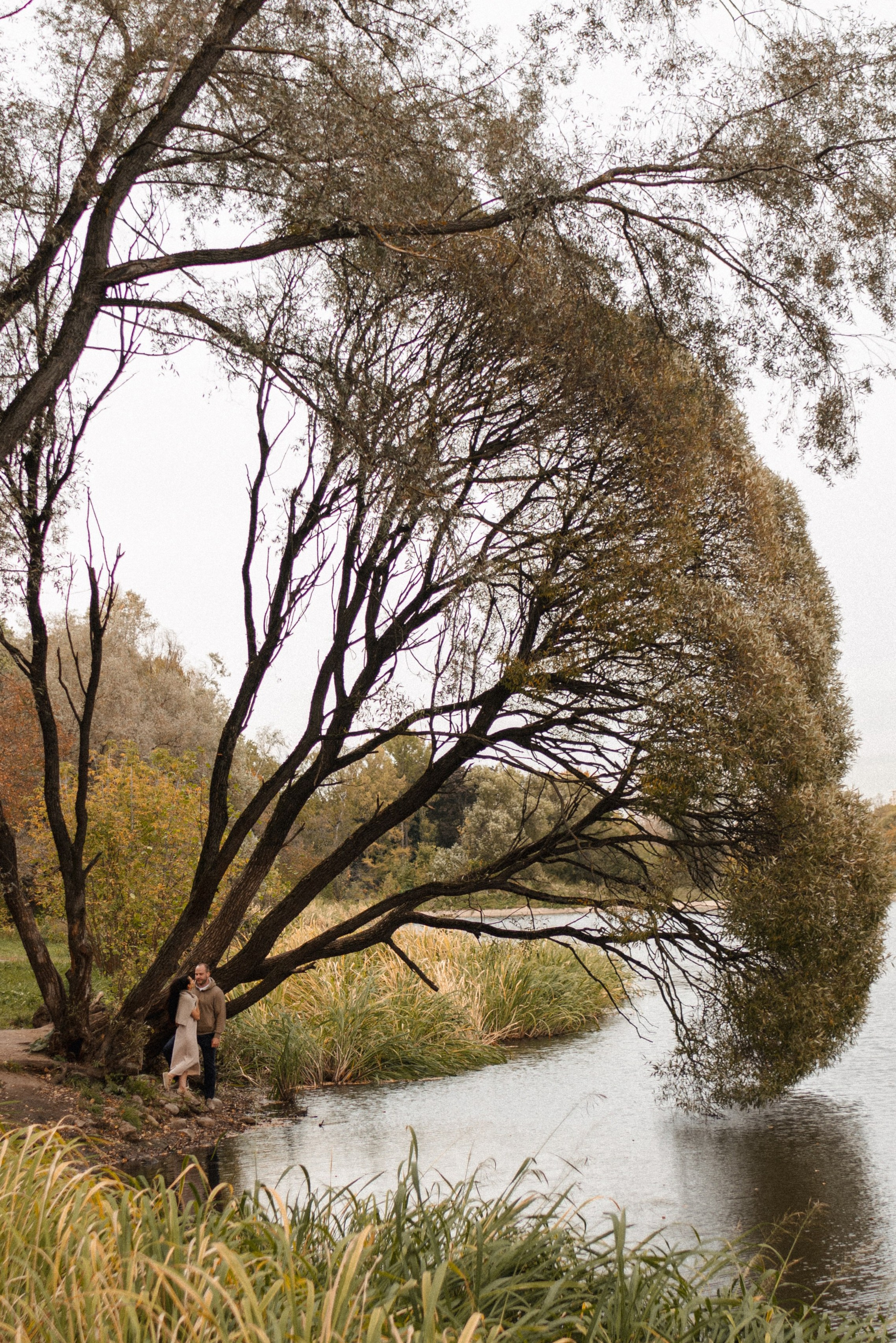 Дерево-брокколи. Фотограф Анна Кобазева, Москва
