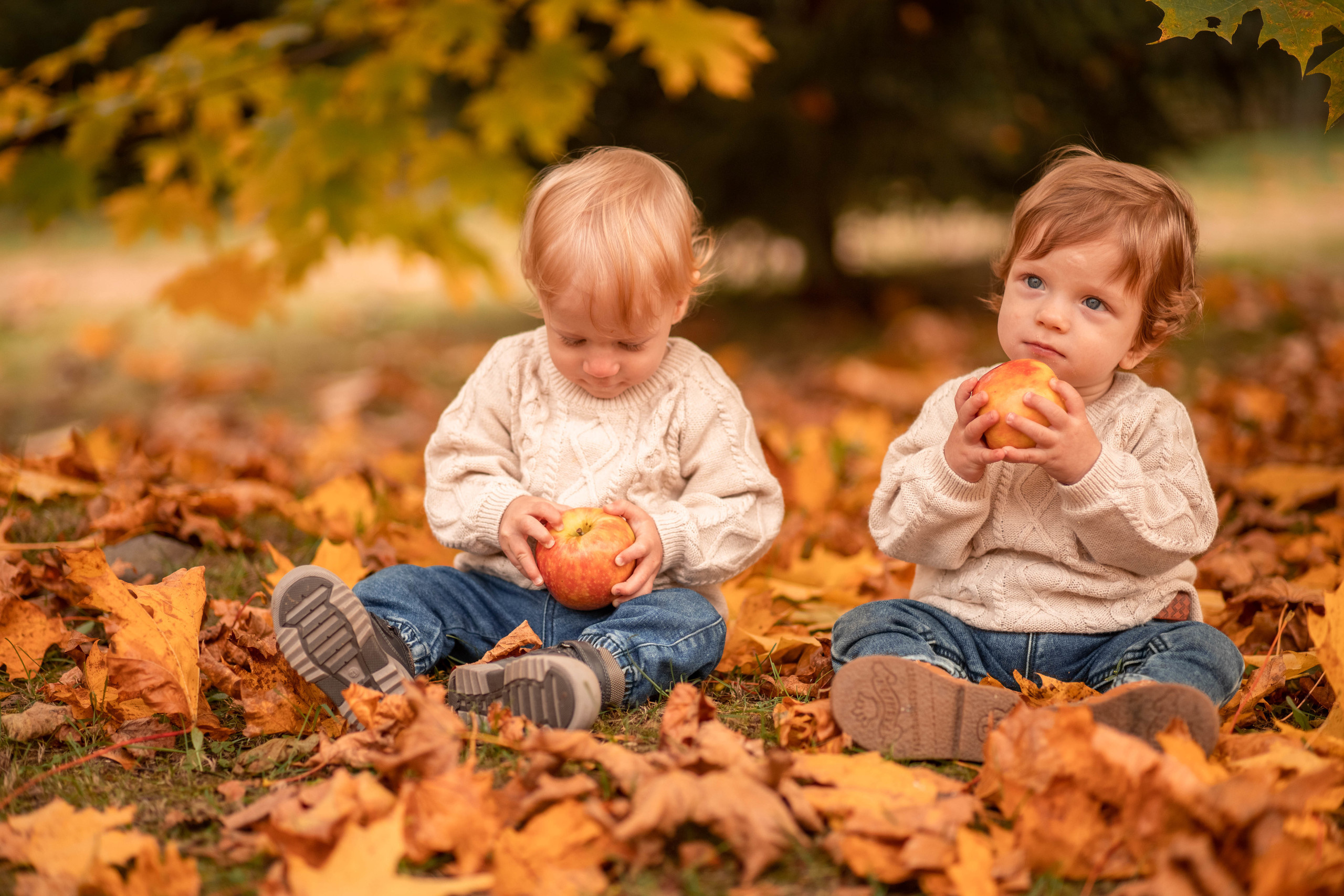 Фотосессия в Домотканово Марка и Кирилла. Детский и семейный фотограф в Твери Ольга Крестьянинова