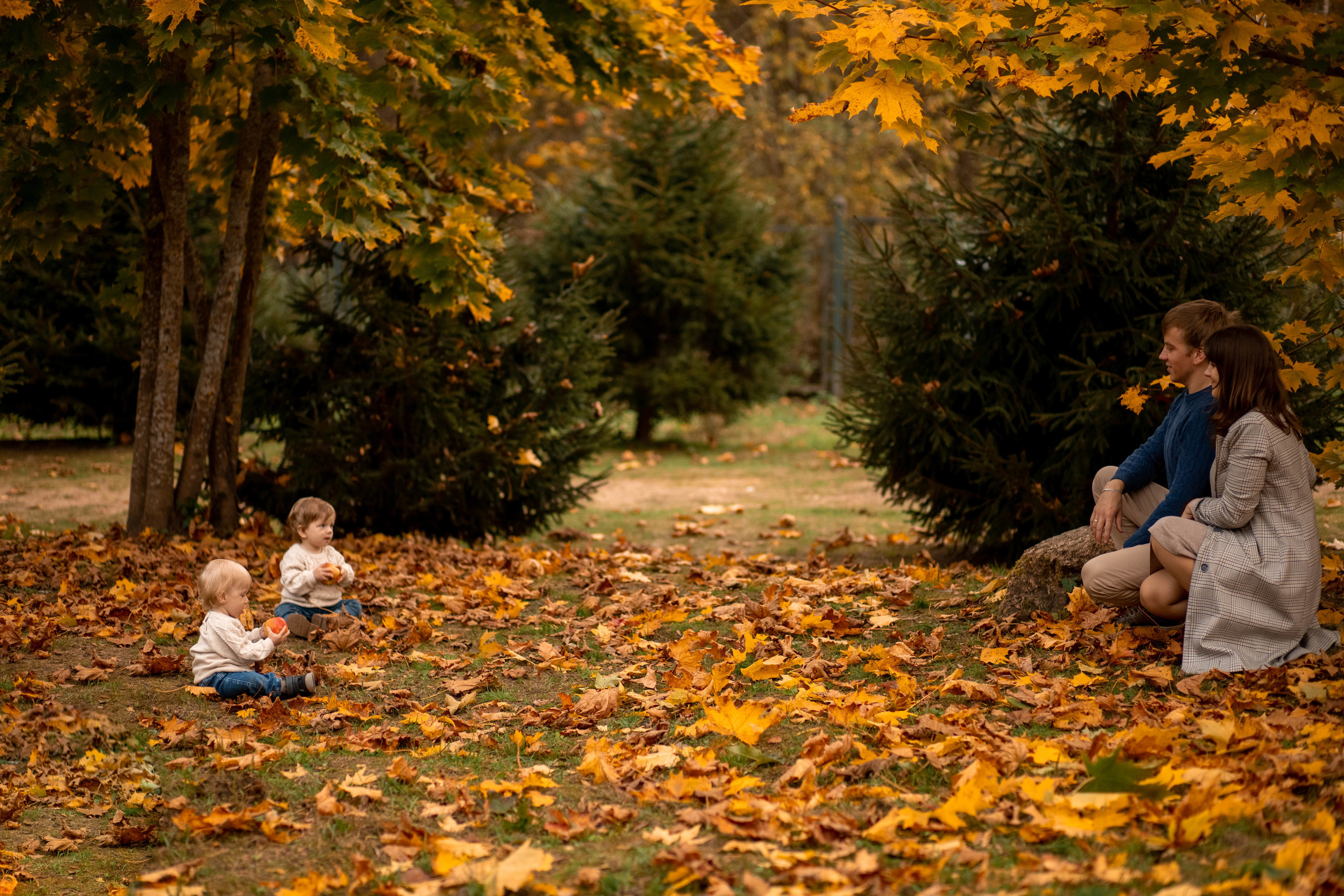 Фотосессия в Домотканово Марка и Кирилла. Детский и семейный фотограф в Твери Ольга Крестьянинова