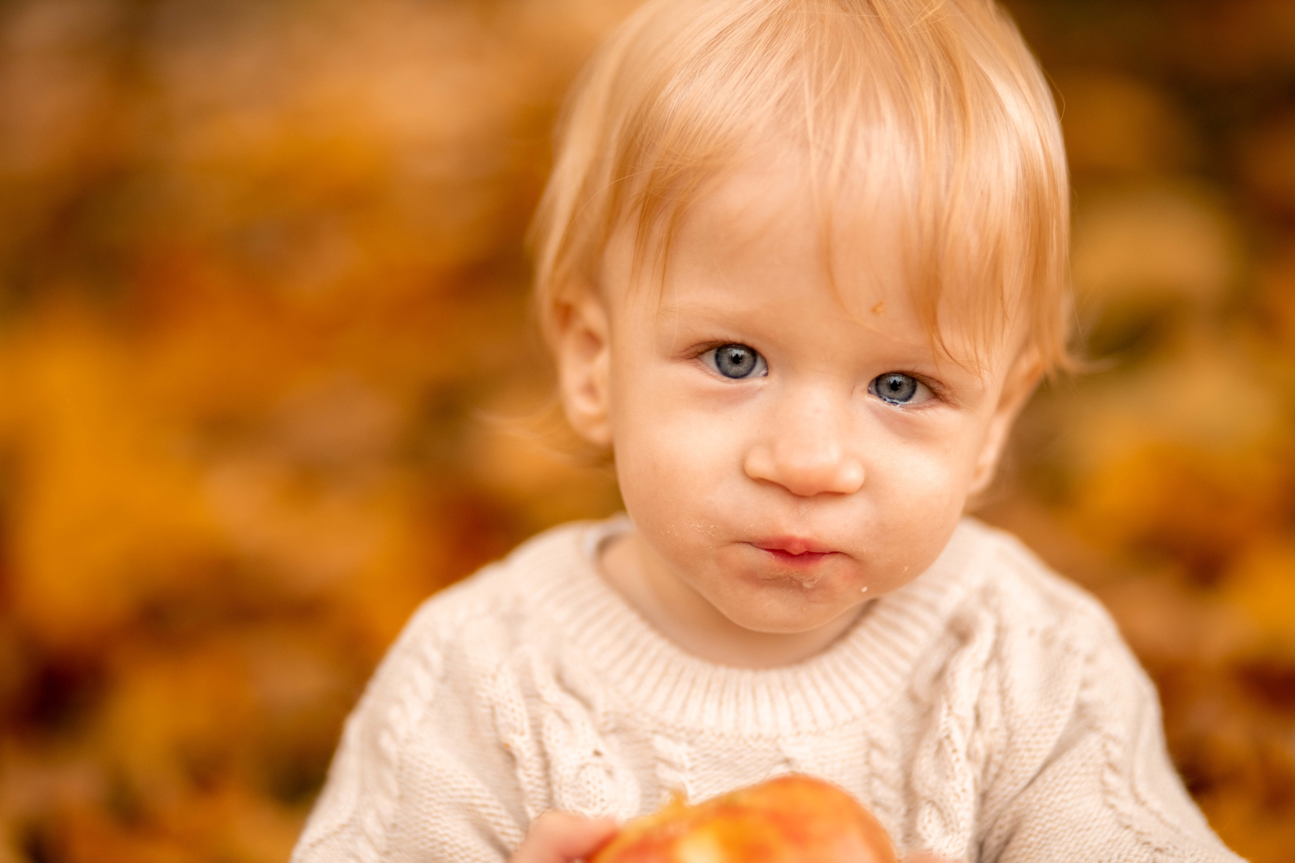Фотосессия в Домотканово Марка и Кирилла. Детский и семейный фотограф в Твери Ольга Крестьянинова
