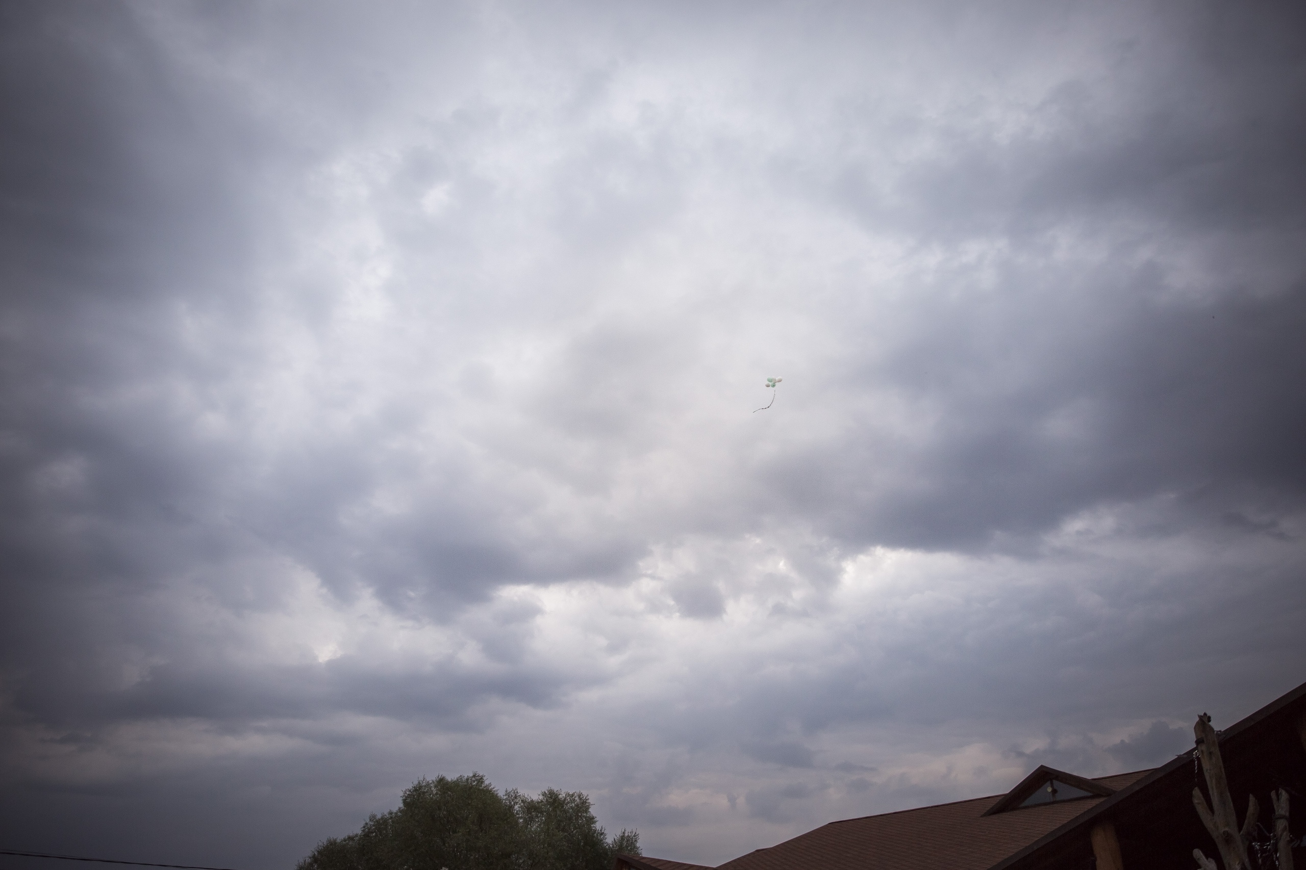 Анастасия и Евгений. Свадебный, семейный и детский фотограф в Алексеевке Анастасия Ковальчу